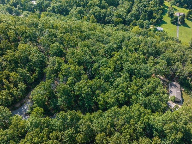 SCENIC HILLS DR, WAYNESBORO, Virginia 22980, ,Land,SCENIC HILLS DR,668097 MLS # 668097