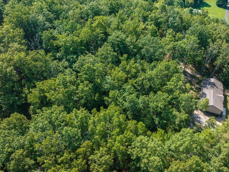 SCENIC HILLS DR, WAYNESBORO, Virginia 22980, ,Land,SCENIC HILLS DR,668097 MLS # 668097