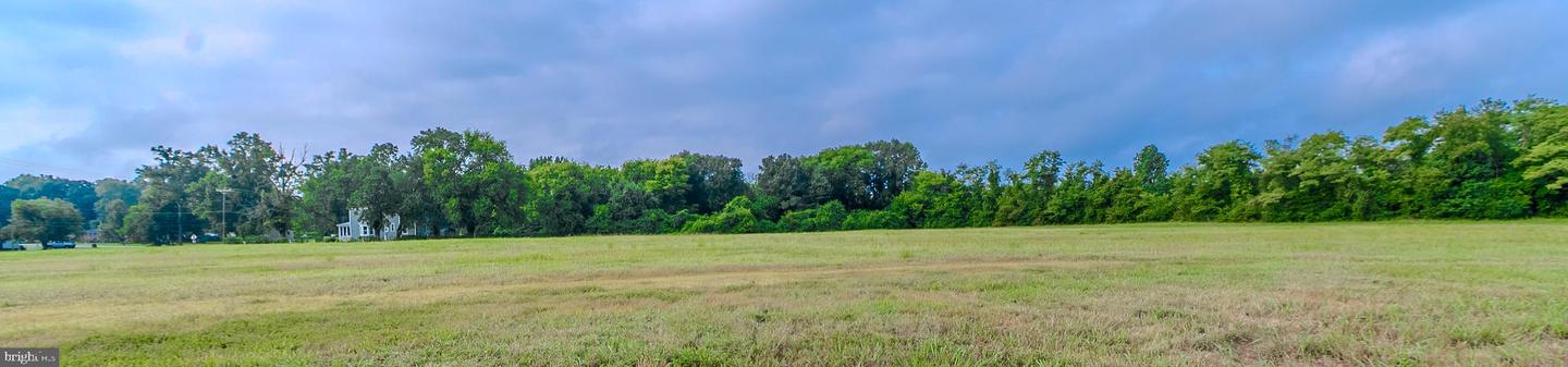 17186 ALLIANCE DR, MILFORD, Virginia 22514, ,Land,For sale,17186 ALLIANCE DR,VACV2008734 MLS # VACV2008734