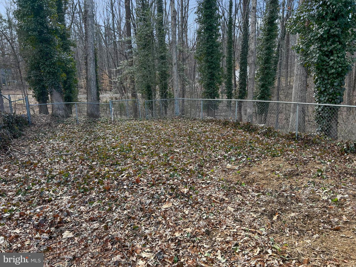 1843 S LAKESHORE DR, LOUISA, Virginia 23093, 2 Bedrooms Bedrooms, ,1 BathroomBathrooms,Residential,For sale,1843 S LAKESHORE DR,VALA2007536 MLS # VALA2007536