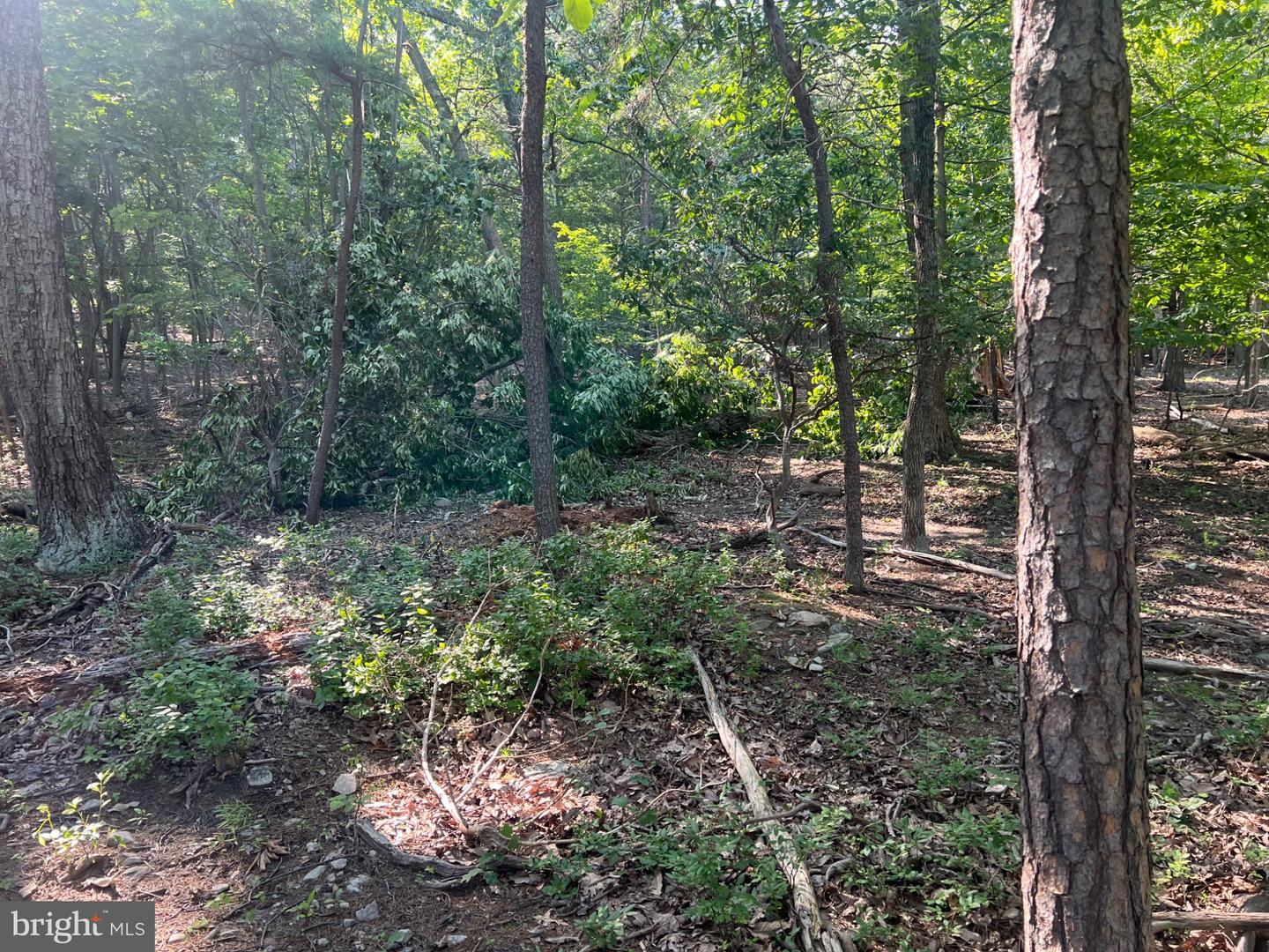 2608 JACKSON DR, HAYMARKET, Virginia 20169, ,Land,For sale,2608 JACKSON DR,VAPW2102128 MLS # VAPW2102128