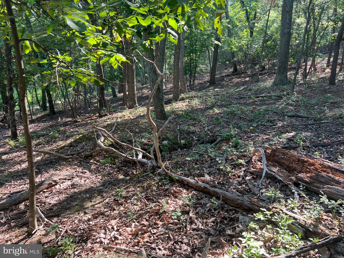 2608 JACKSON DR, HAYMARKET, Virginia 20169, ,Land,For sale,2608 JACKSON DR,VAPW2102128 MLS # VAPW2102128