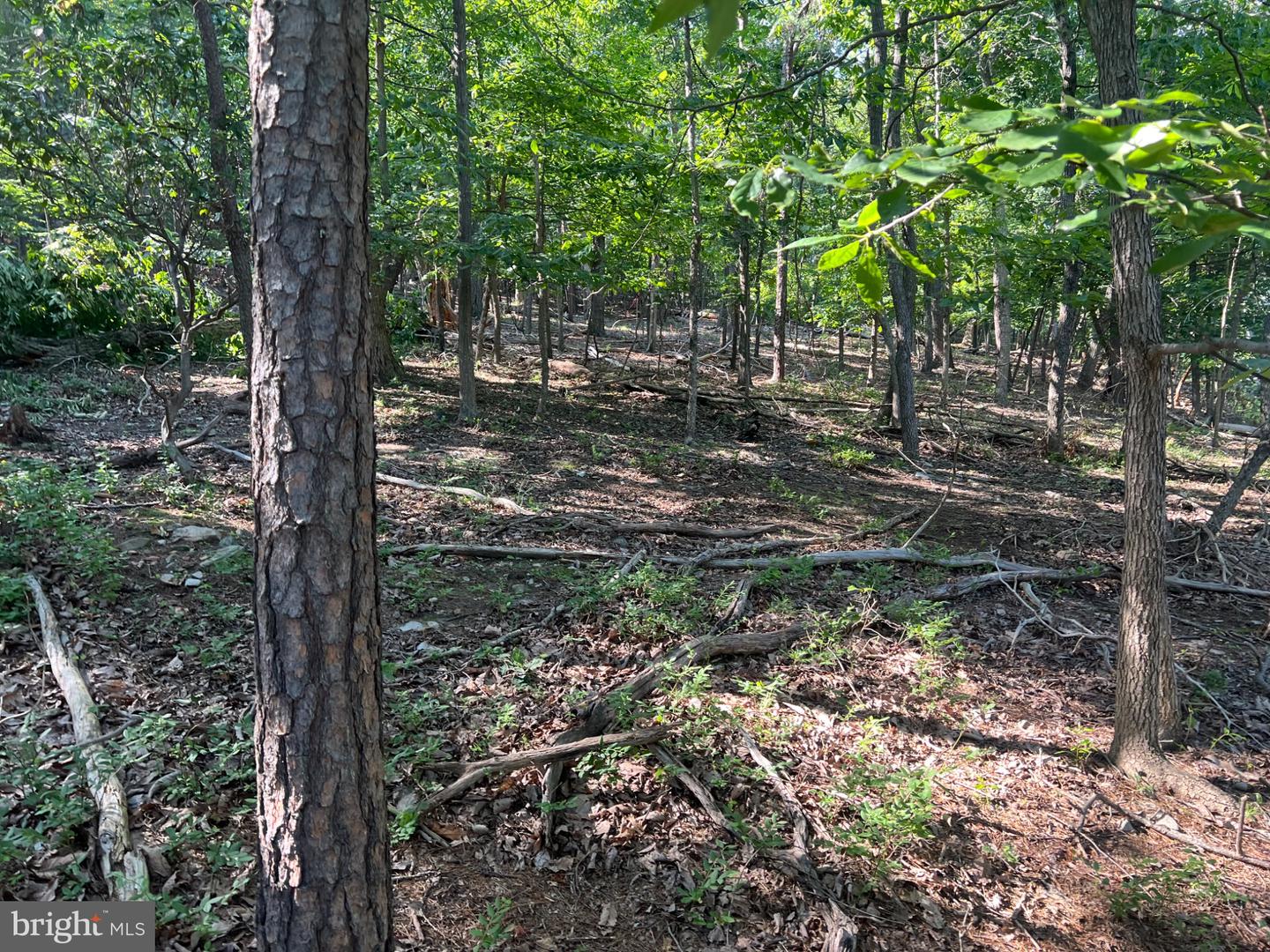 2608 JACKSON DR, HAYMARKET, Virginia 20169, ,Land,For sale,2608 JACKSON DR,VAPW2102128 MLS # VAPW2102128