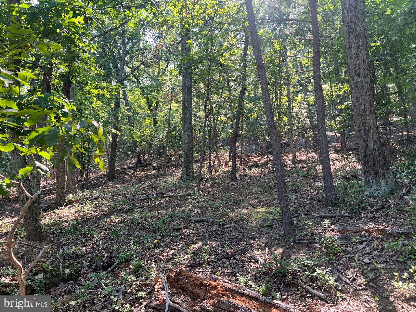 2608 JACKSON DR, HAYMARKET, Virginia 20169, ,Land,For sale,2608 JACKSON DR,VAPW2102128 MLS # VAPW2102128