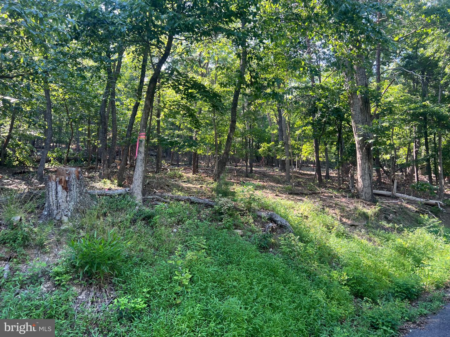2608 JACKSON DR, HAYMARKET, Virginia 20169, ,Land,For sale,2608 JACKSON DR,VAPW2102128 MLS # VAPW2102128