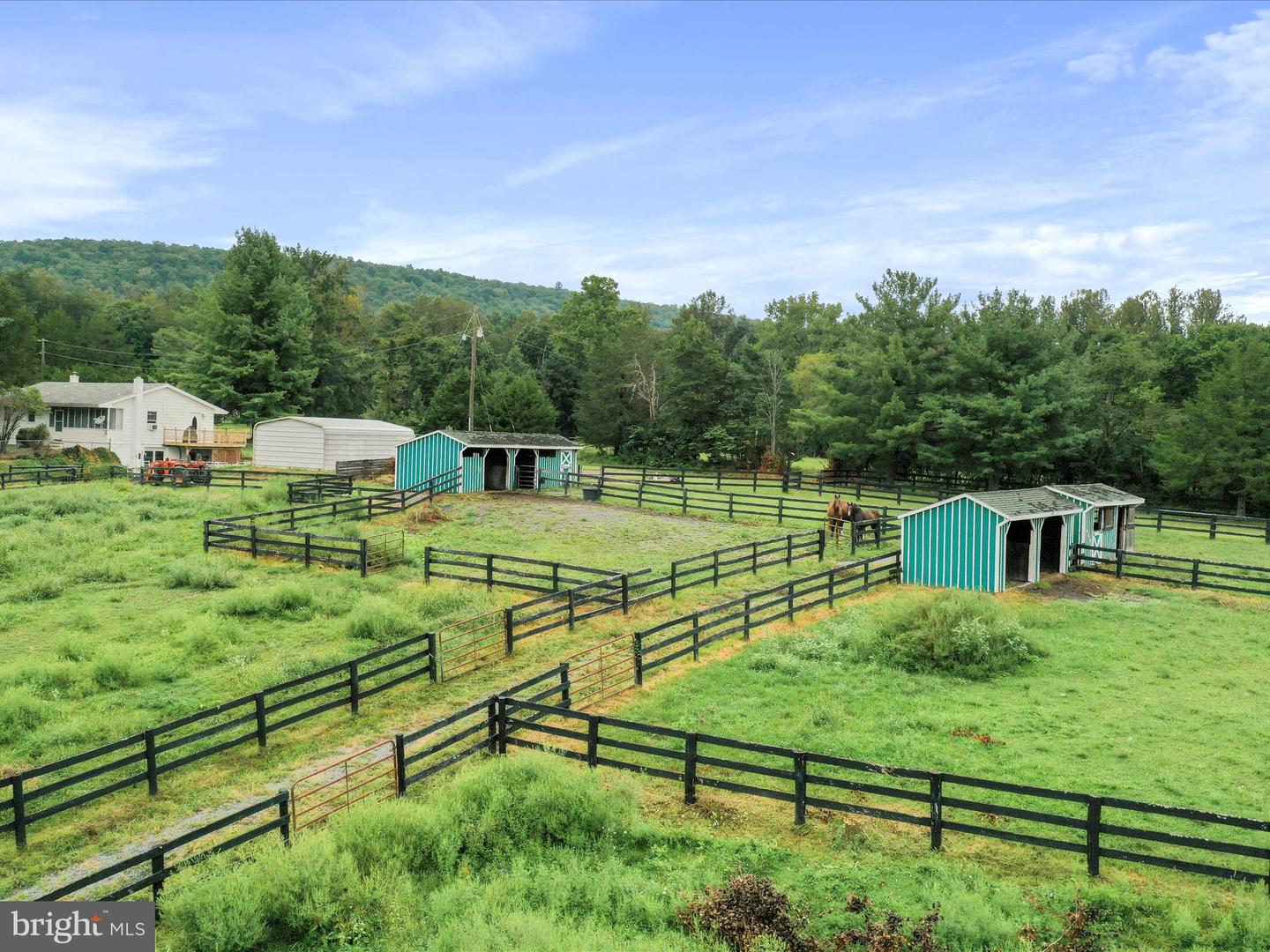 903 COVERSTONE RD, FORT VALLEY, Virginia 22652, 3 Bedrooms Bedrooms, ,2 BathroomsBathrooms,Residential,For sale,903 COVERSTONE RD,VASH2011758 MLS # VASH2011758