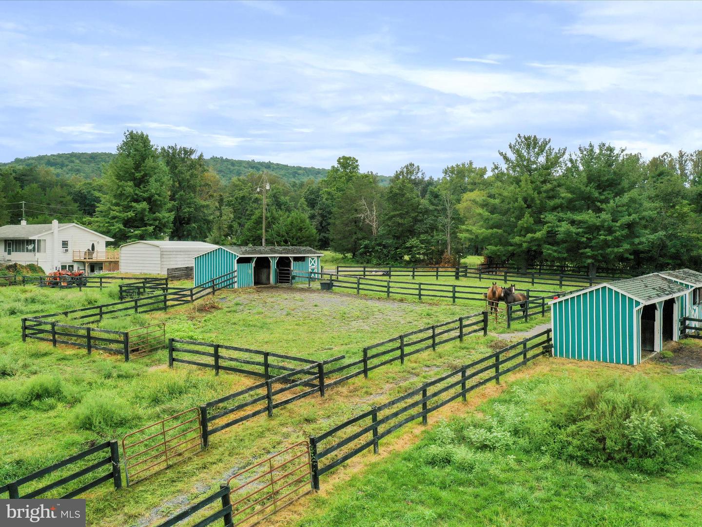 903 COVERSTONE RD, FORT VALLEY, Virginia 22652, 3 Bedrooms Bedrooms, ,2 BathroomsBathrooms,Residential,For sale,903 COVERSTONE RD,VASH2011758 MLS # VASH2011758