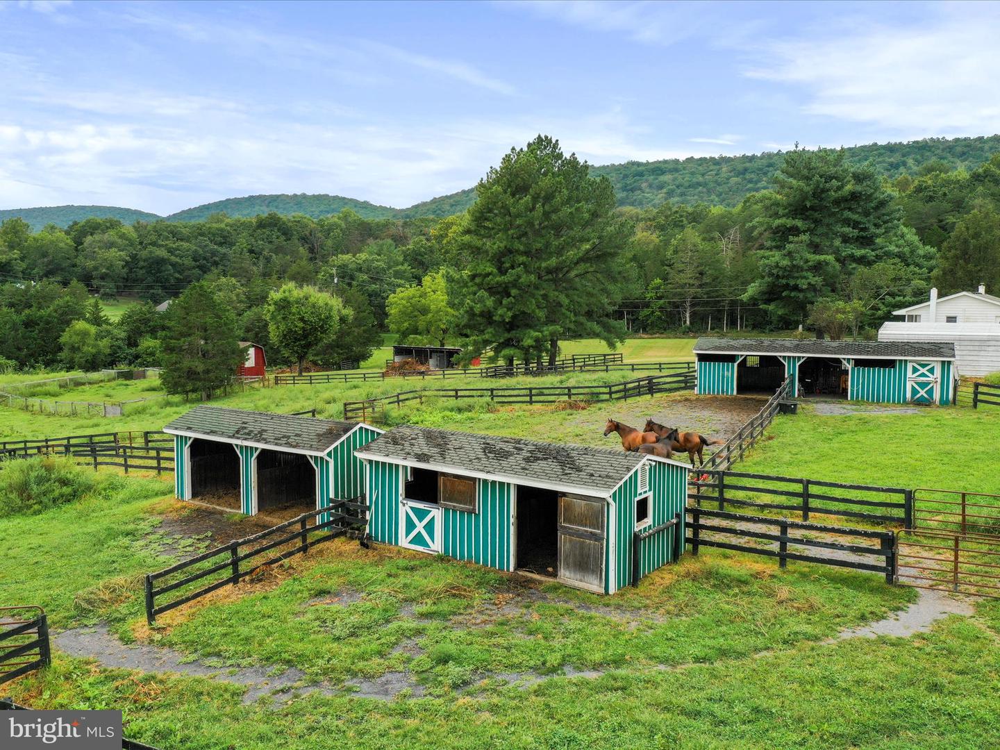 903 COVERSTONE RD, FORT VALLEY, Virginia 22652, 3 Bedrooms Bedrooms, ,2 BathroomsBathrooms,Residential,For sale,903 COVERSTONE RD,VASH2011758 MLS # VASH2011758