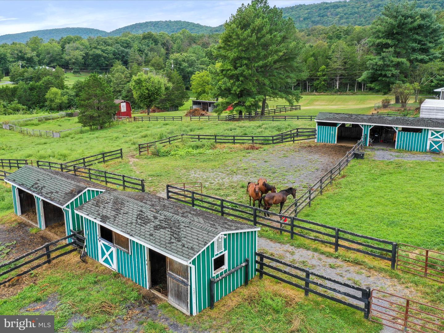 903 COVERSTONE RD, FORT VALLEY, Virginia 22652, 3 Bedrooms Bedrooms, ,2 BathroomsBathrooms,Residential,For sale,903 COVERSTONE RD,VASH2011758 MLS # VASH2011758
