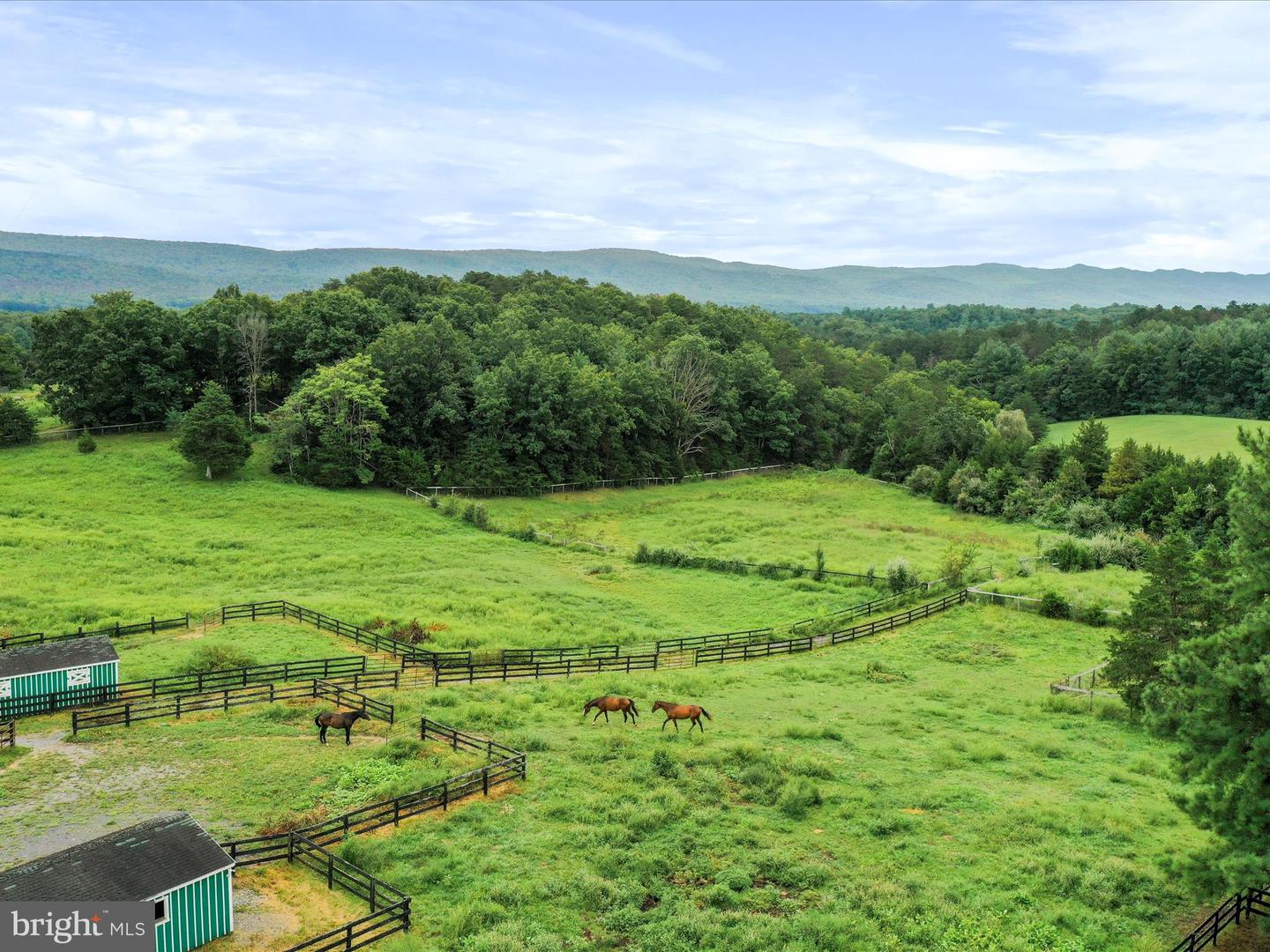 903 COVERSTONE RD, FORT VALLEY, Virginia 22652, 3 Bedrooms Bedrooms, ,2 BathroomsBathrooms,Residential,For sale,903 COVERSTONE RD,VASH2011758 MLS # VASH2011758
