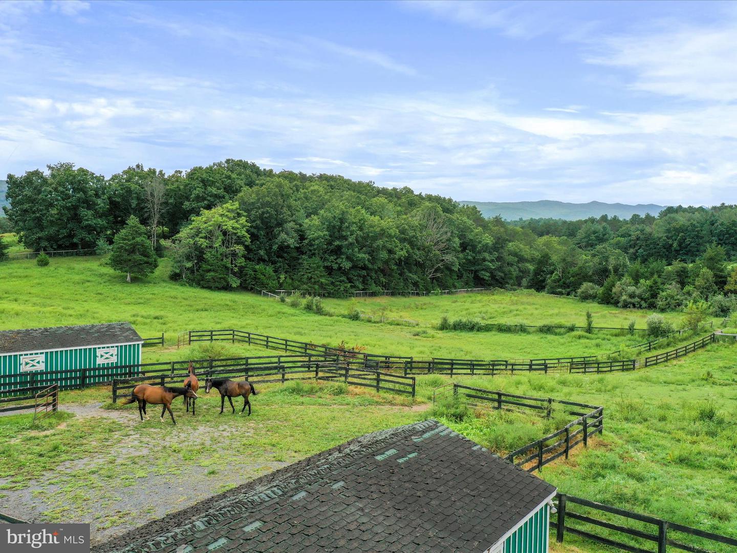 903 COVERSTONE RD, FORT VALLEY, Virginia 22652, 3 Bedrooms Bedrooms, ,2 BathroomsBathrooms,Residential,For sale,903 COVERSTONE RD,VASH2011758 MLS # VASH2011758
