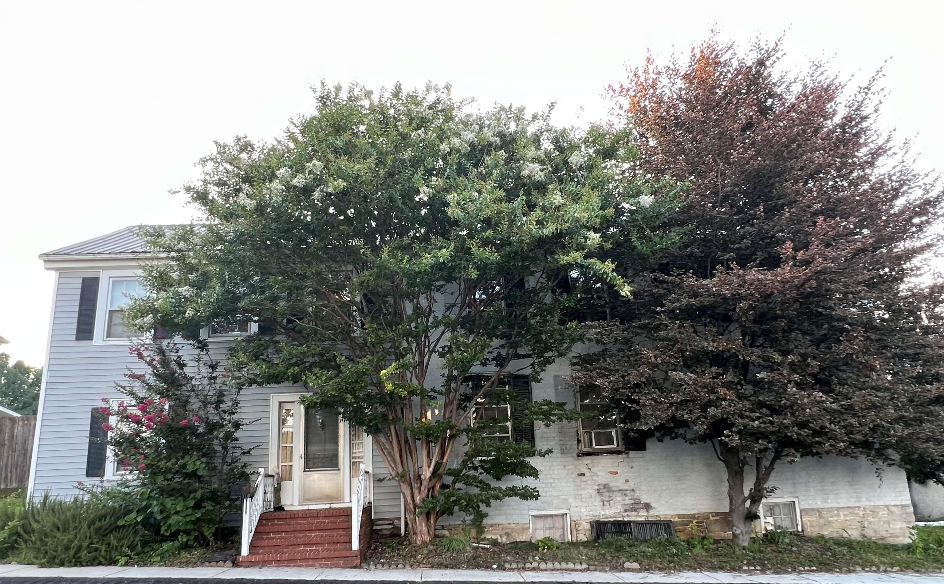 77 MAIN ST, GREENVILLE, Virginia 24440, 4 Bedrooms Bedrooms, ,1 BathroomBathrooms,Residential,