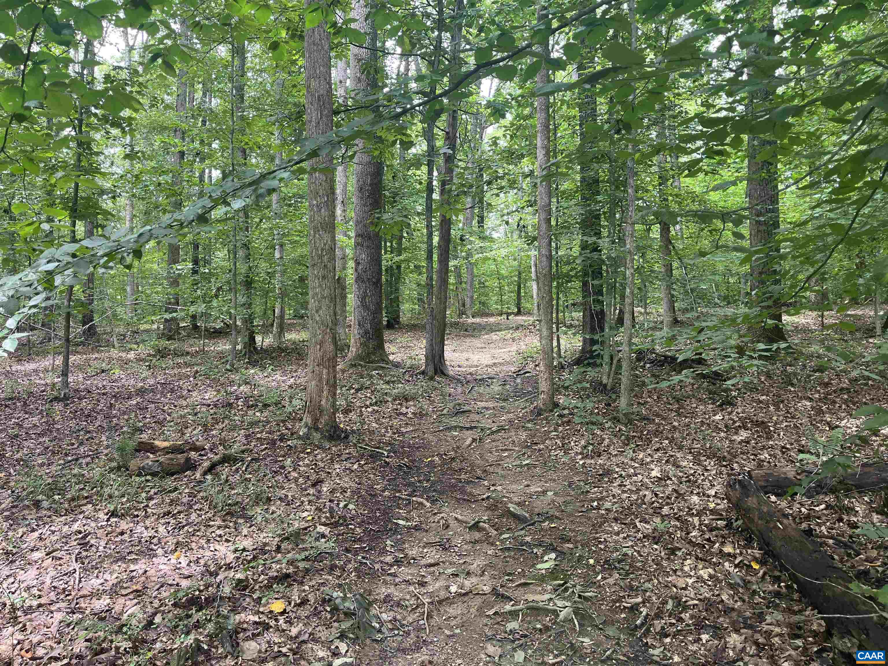 242 BOWLERS MILL LN, GORDONSVILLE, Virginia 22942, 3 Bedrooms Bedrooms, ,2 BathroomsBathrooms,Residential,242 BOWLERS MILL LN,667300 MLS # 667300