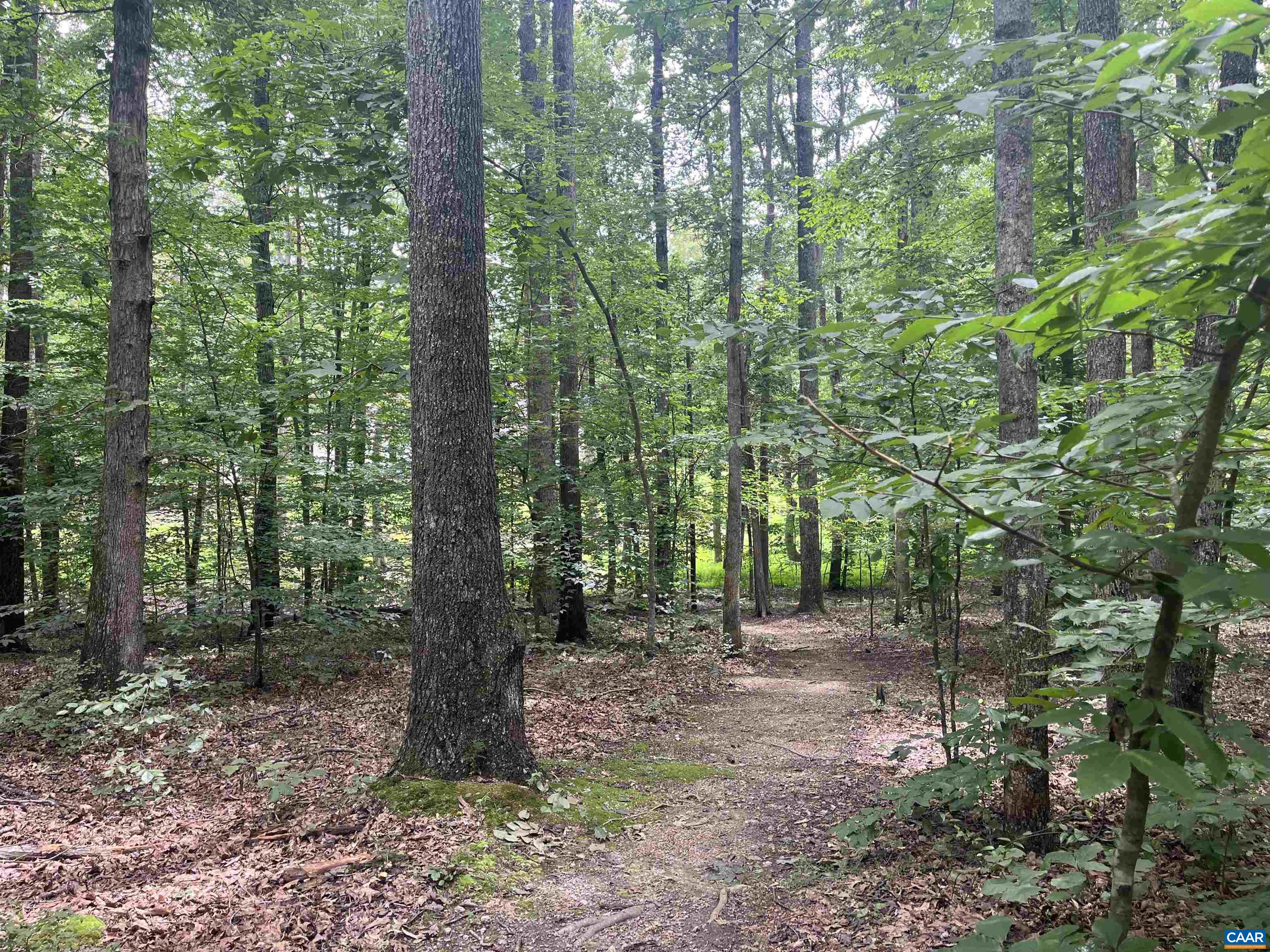 242 BOWLERS MILL LN, GORDONSVILLE, Virginia 22942, 3 Bedrooms Bedrooms, ,2 BathroomsBathrooms,Residential,242 BOWLERS MILL LN,667300 MLS # 667300