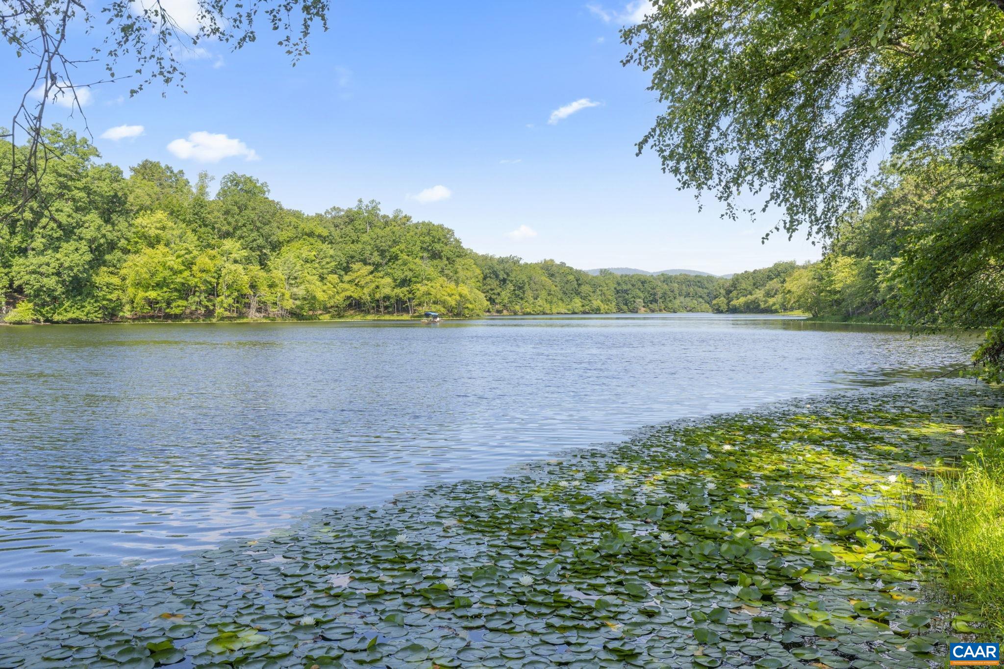 Largemouth Bass, Crappie, Bluegill, Sunfish. Channel Catfish are also stocked.