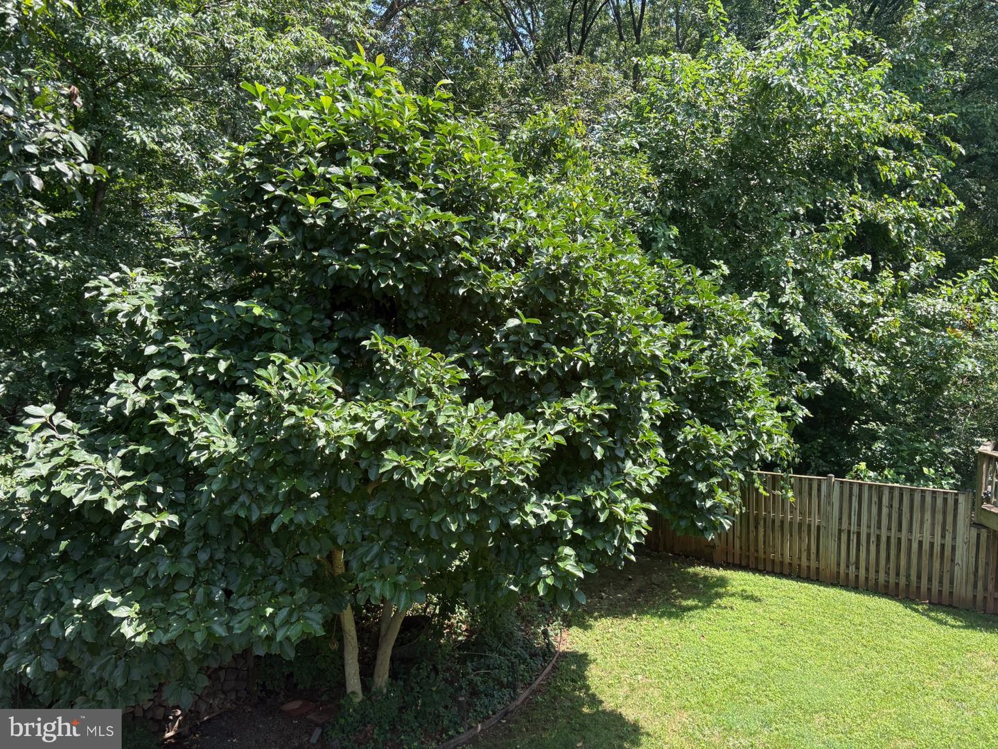 276 W MEADOWLAND LN W, STERLING, Virginia 20164, 4 Bedrooms Bedrooms, ,2 BathroomsBathrooms,Residential,For sale,276 W MEADOWLAND LN W,VALO2103666 MLS # VALO2103666