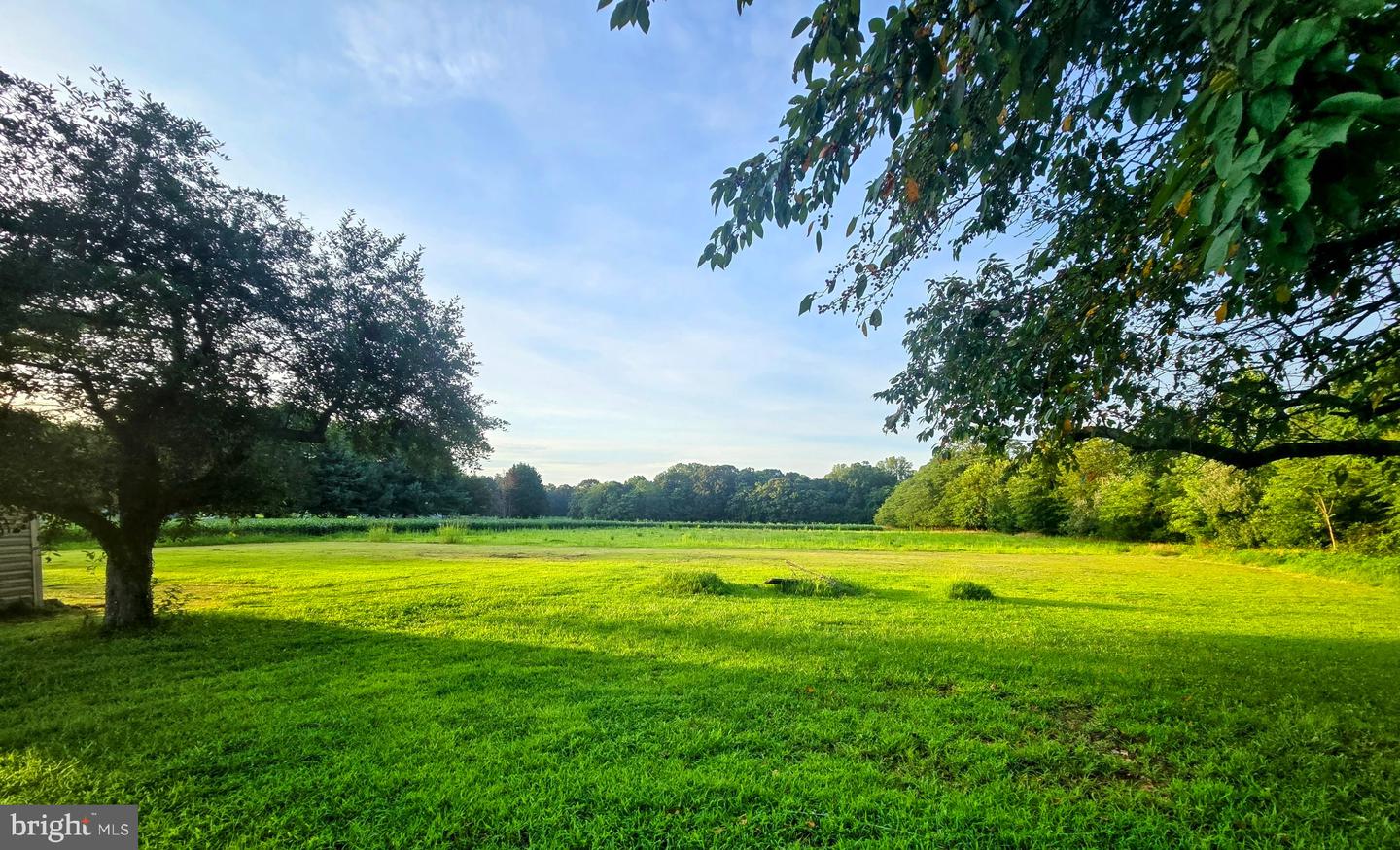 9331 WINDSOR DR, KING GEORGE, Virginia 22485, 3 Bedrooms Bedrooms, ,2 BathroomsBathrooms,Residential,For sale,9331 WINDSOR DR,VAKG2006862 MLS # VAKG2006862 9331 WINDSOR DR, KING GEORGE, Virginia 22485, 3 Bedrooms Bedrooms, ,2 BathroomsBathrooms,Residential,For sale,9331 WINDSOR DR,VAKG2006862 MLS # VAKG2006862