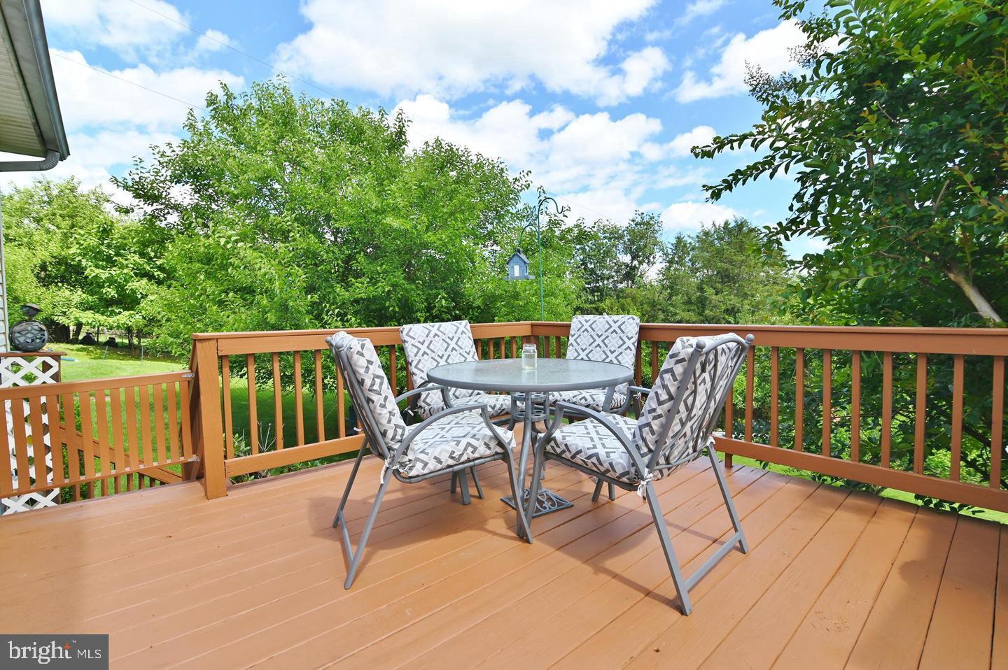 220 AIRSTRIP RD, LURAY, Virginia 22835, 3 Bedrooms Bedrooms, ,2 BathroomsBathrooms,Residential,For sale,220 AIRSTRIP RD,VAPA2005278 MLS # VAPA2005278