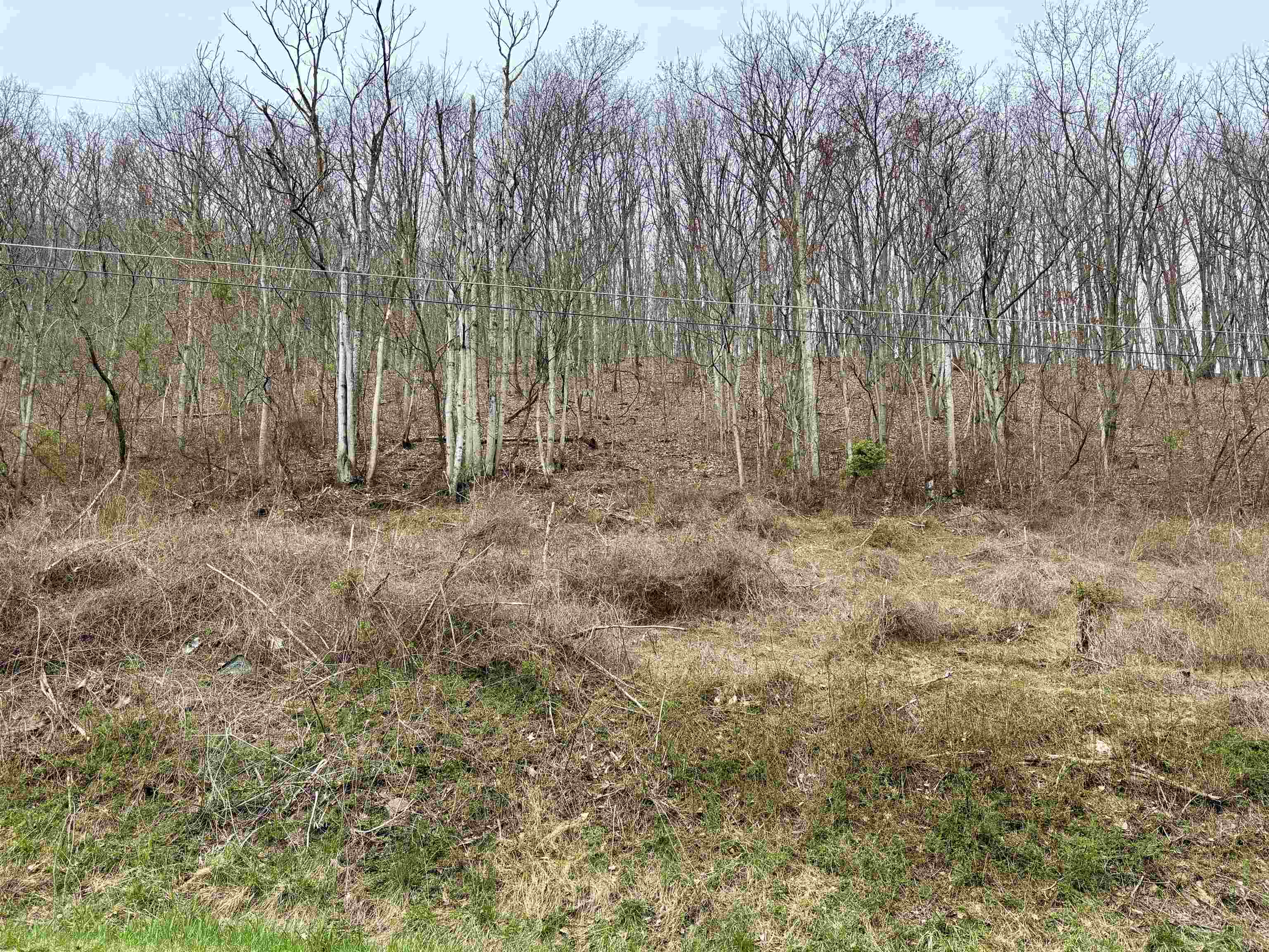 Lot 11 B LUCAS HOLLOW RD, STANLEY, Virginia 22851, ,Land,Lot 11 B LUCAS HOLLOW RD,662495 MLS # 662495