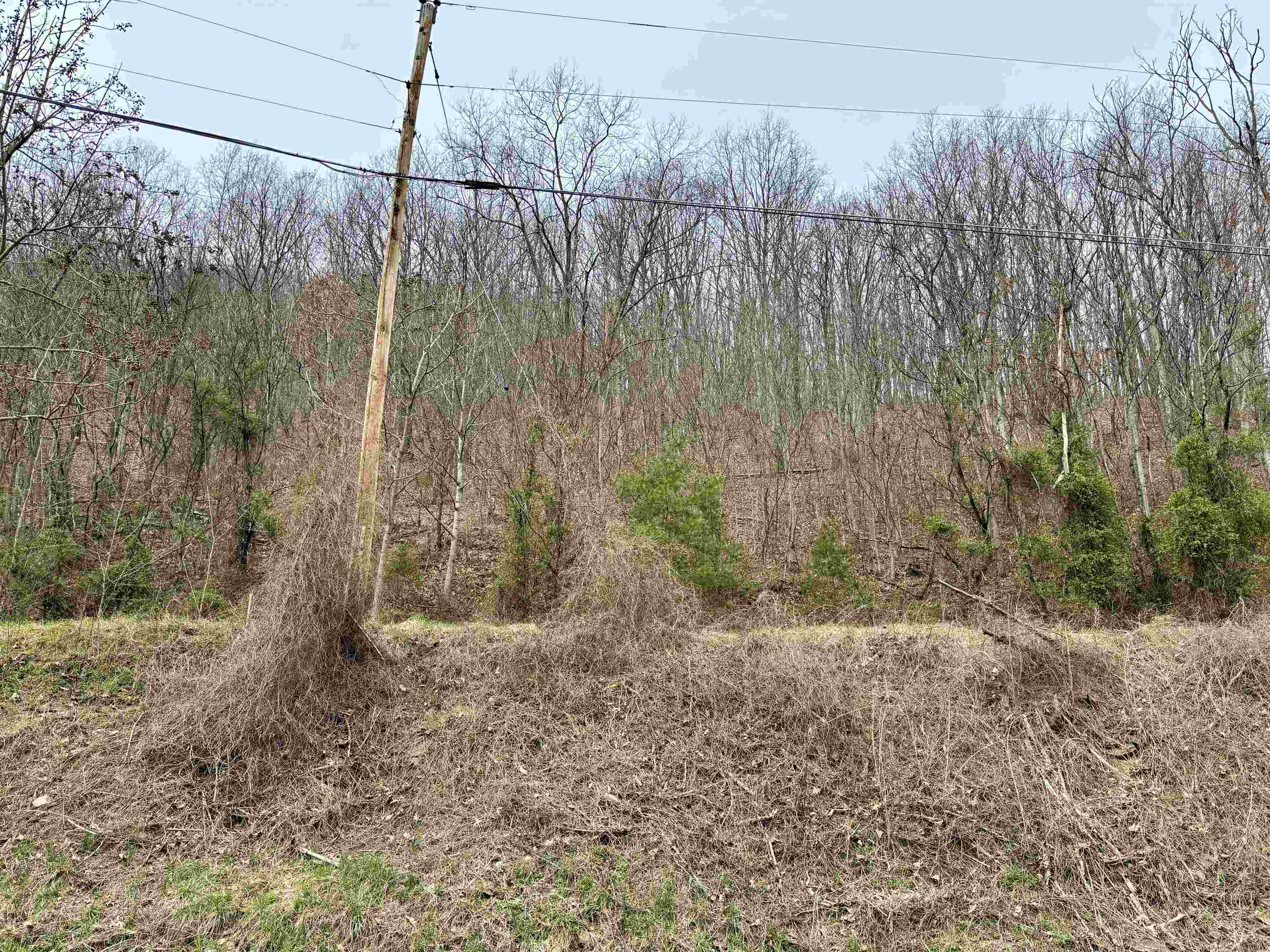 Lot 11 B LUCAS HOLLOW RD, STANLEY, Virginia 22851, ,Land,Lot 11 B LUCAS HOLLOW RD,662495 MLS # 662495