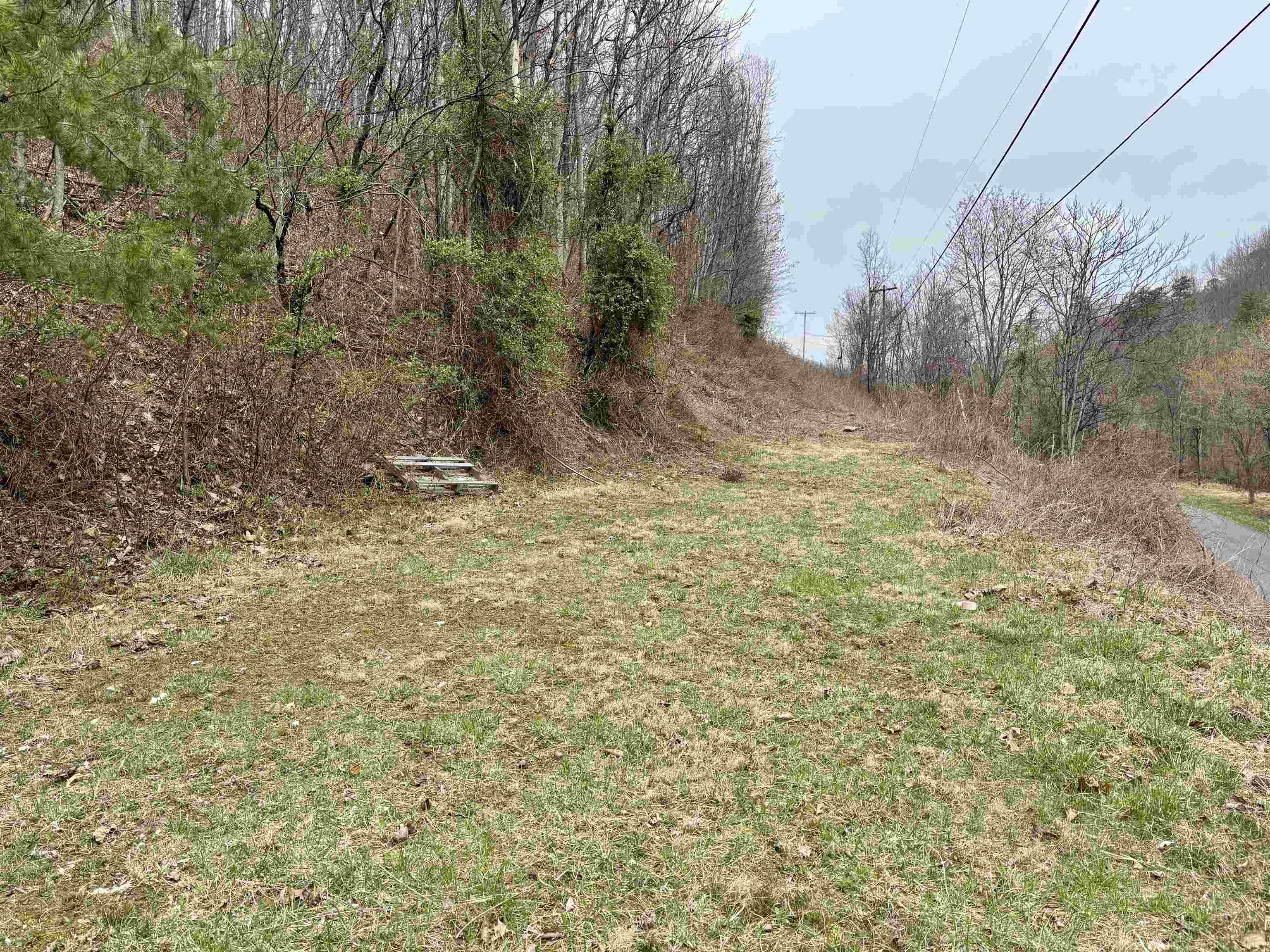 Lot 11 B LUCAS HOLLOW RD, STANLEY, Virginia 22851, ,Land,Lot 11 B LUCAS HOLLOW RD,662495 MLS # 662495