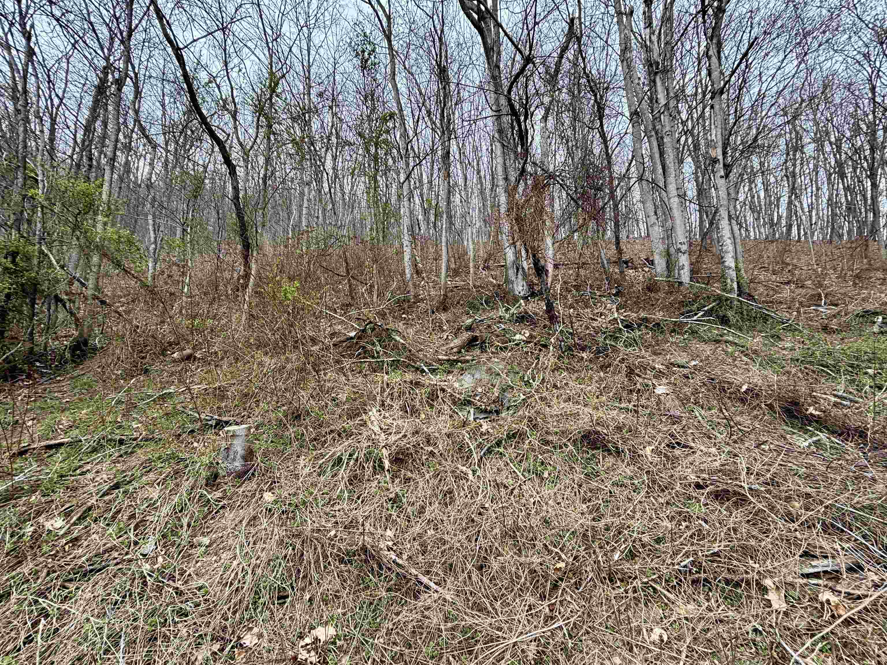 Lot 11 B LUCAS HOLLOW RD, STANLEY, Virginia 22851, ,Land,Lot 11 B LUCAS HOLLOW RD,662495 MLS # 662495
