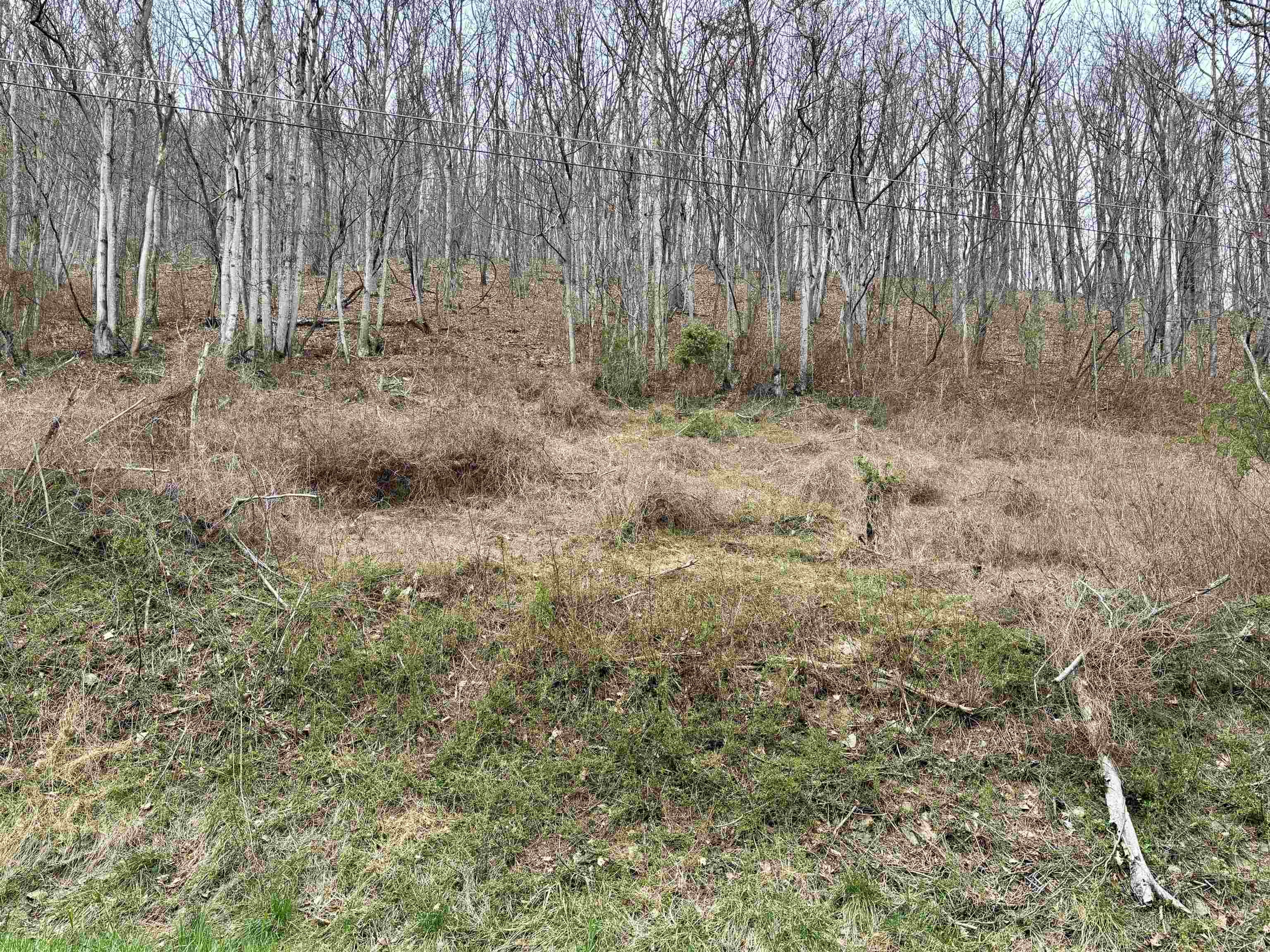 Lot 11 B LUCAS HOLLOW RD, STANLEY, Virginia 22851, ,Land,Lot 11 B LUCAS HOLLOW RD,662495 MLS # 662495