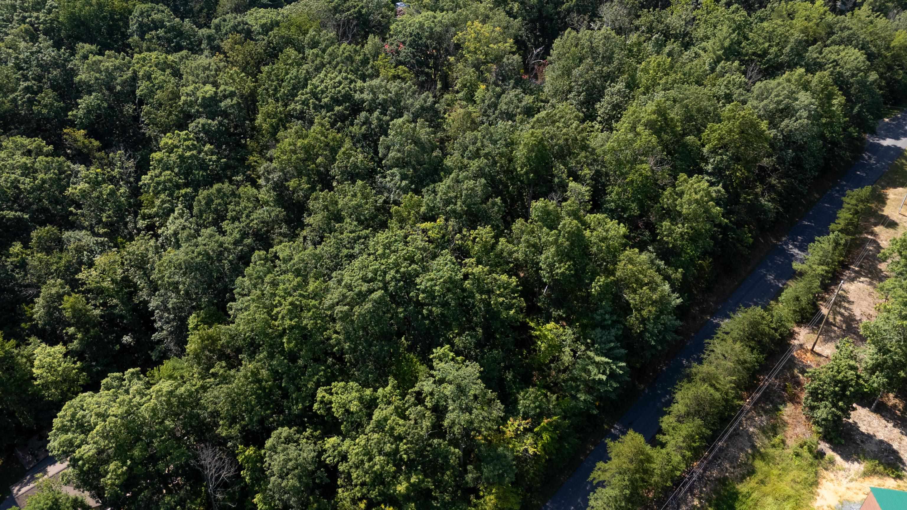 1.78 acres TRAYFOOT RD, GROTTOES, Virginia 24441, ,Land,1.78 acres TRAYFOOT RD,668118 MLS # 668118