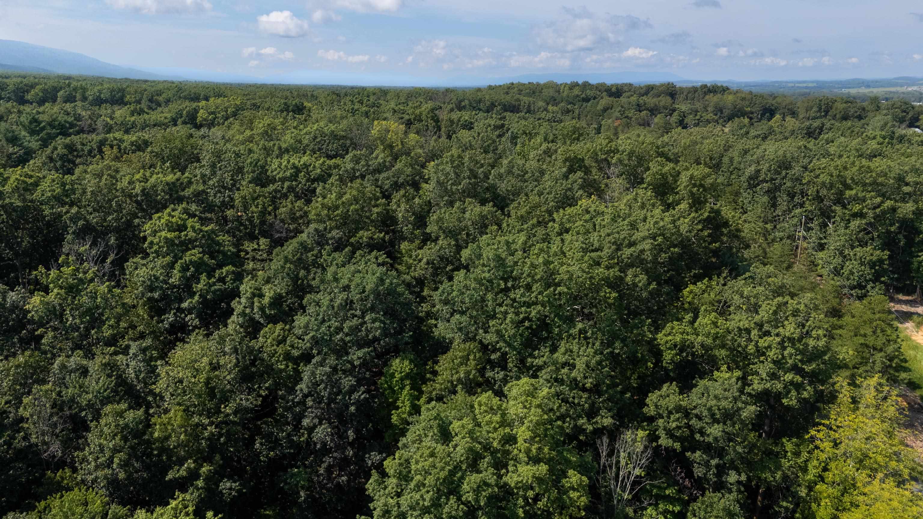 1.78 acres TRAYFOOT RD, GROTTOES, Virginia 24441, ,Land,1.78 acres TRAYFOOT RD,668118 MLS # 668118