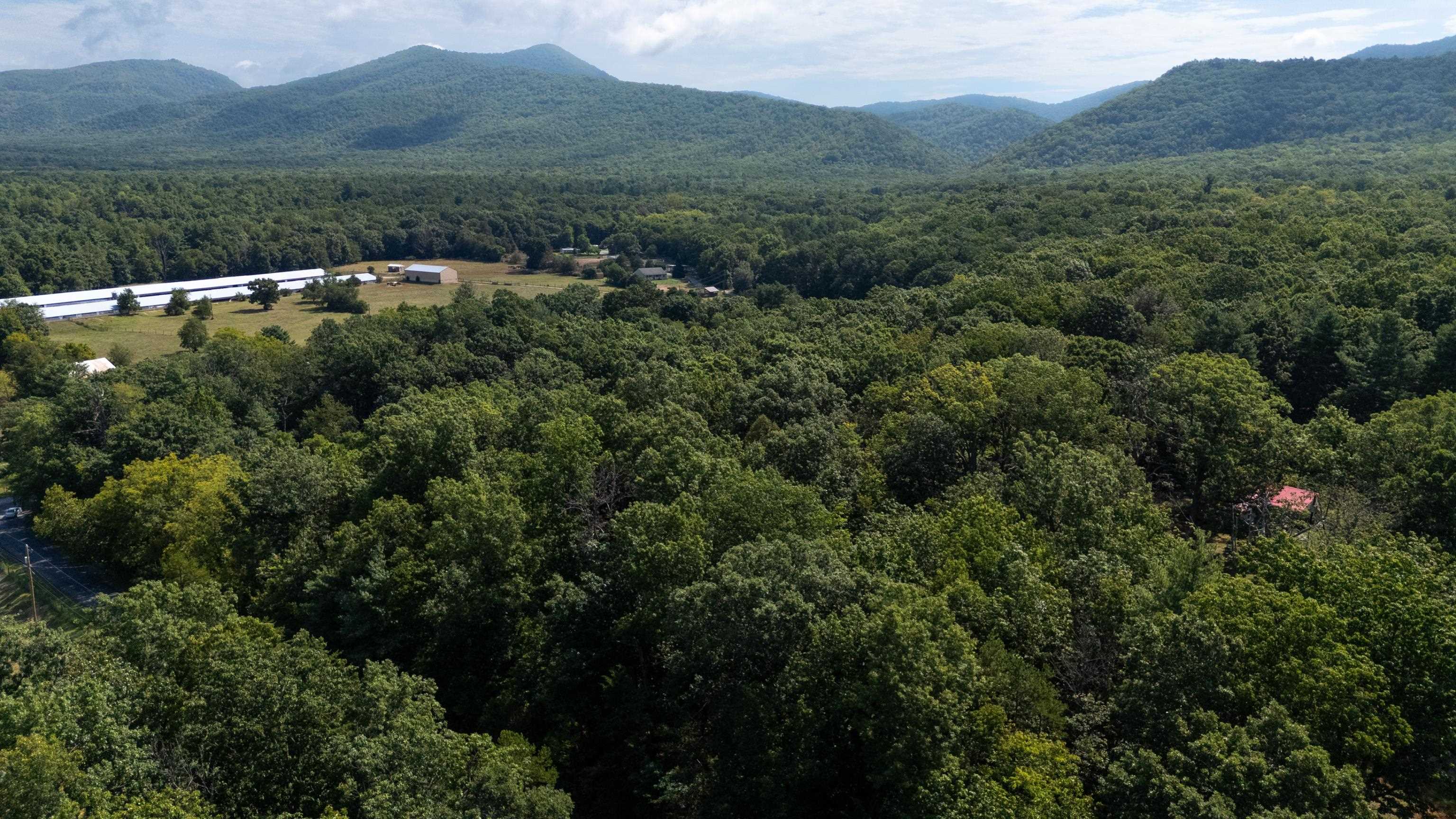 1.78 acres TRAYFOOT RD, GROTTOES, Virginia 24441, ,Land,1.78 acres TRAYFOOT RD,668118 MLS # 668118