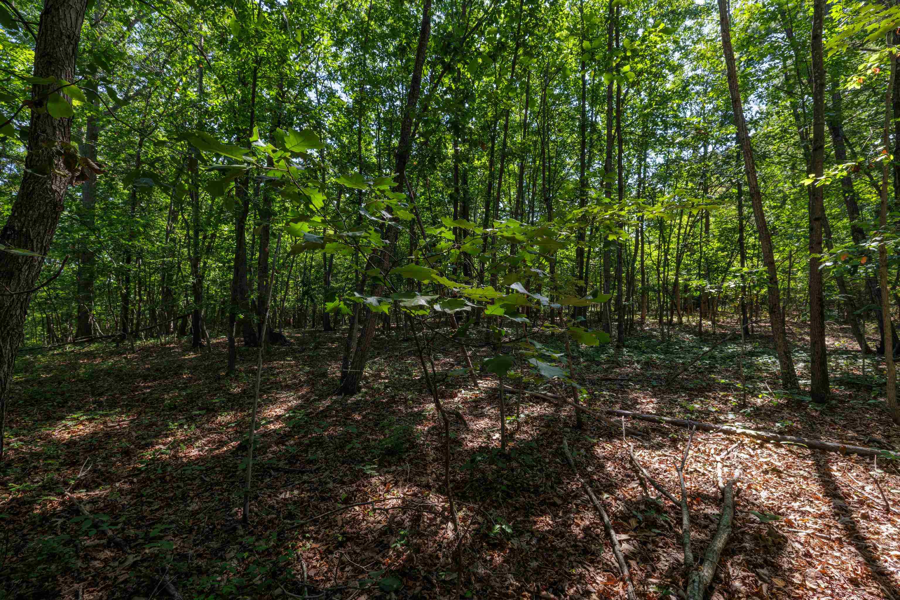 1.78 acres TRAYFOOT RD, GROTTOES, Virginia 24441, ,Land,1.78 acres TRAYFOOT RD,668118 MLS # 668118