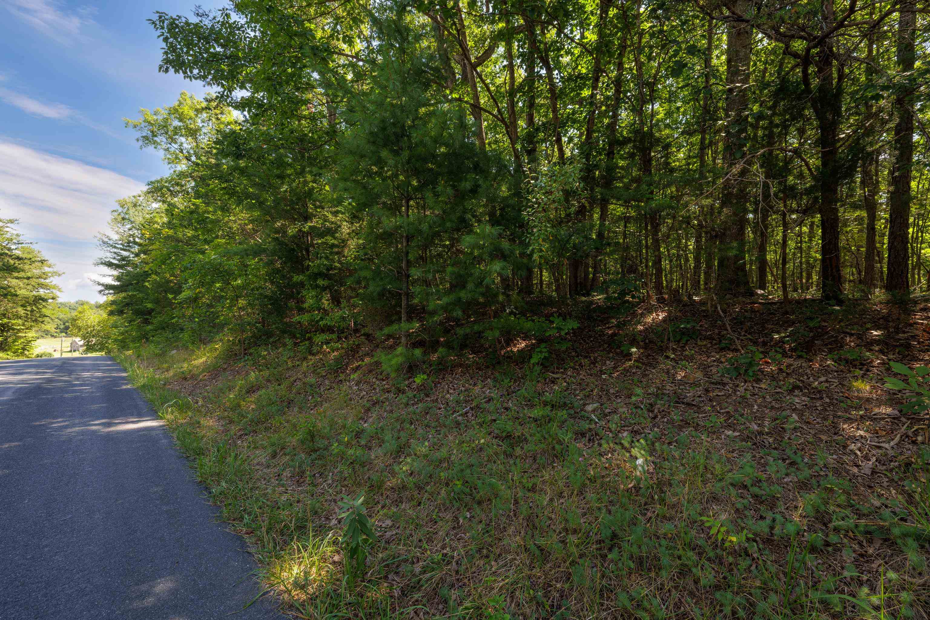 1.78 acres TRAYFOOT RD, GROTTOES, Virginia 24441, ,Land,1.78 acres TRAYFOOT RD,668118 MLS # 668118