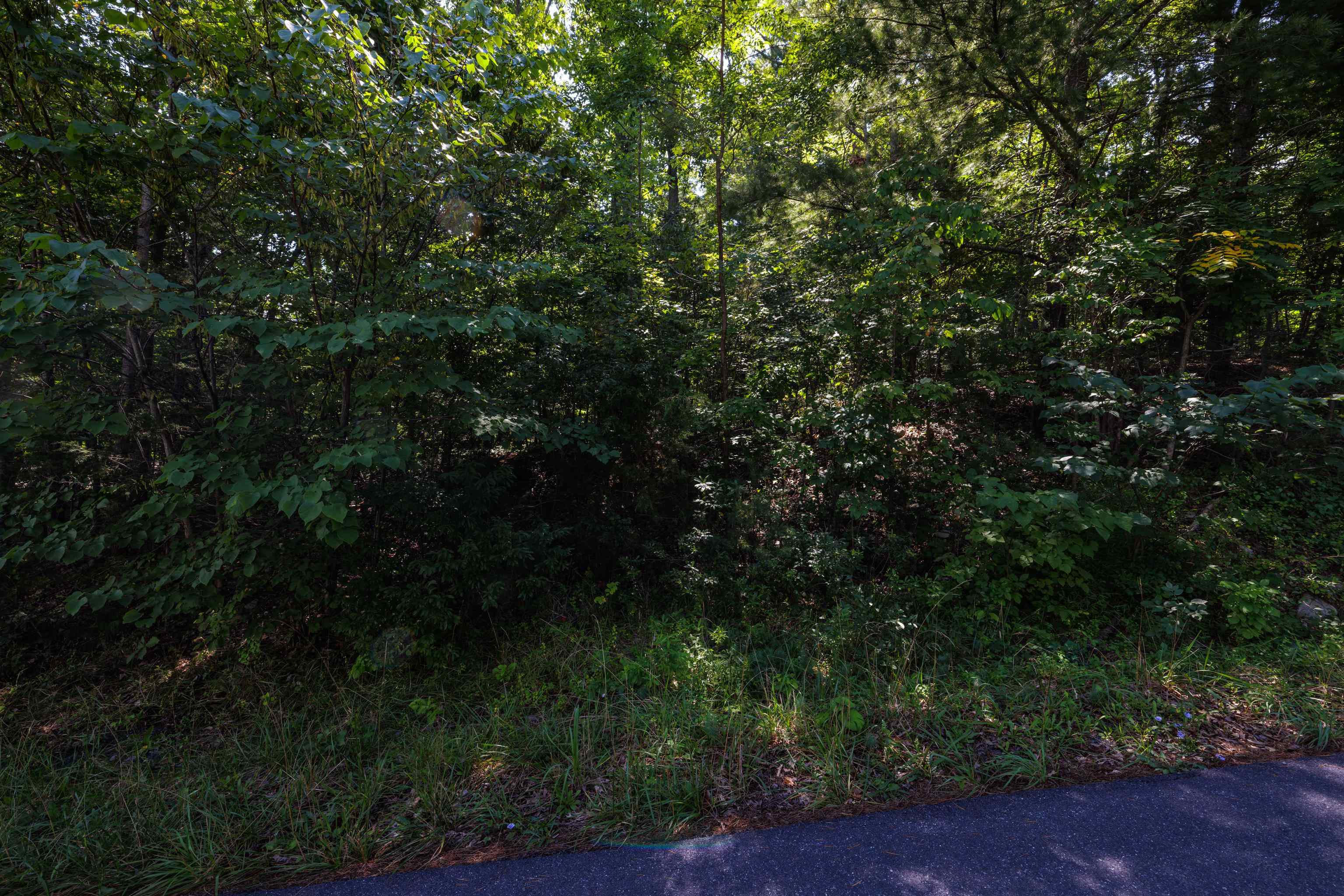 1.78 acres TRAYFOOT RD, GROTTOES, Virginia 24441, ,Land,1.78 acres TRAYFOOT RD,668118 MLS # 668118