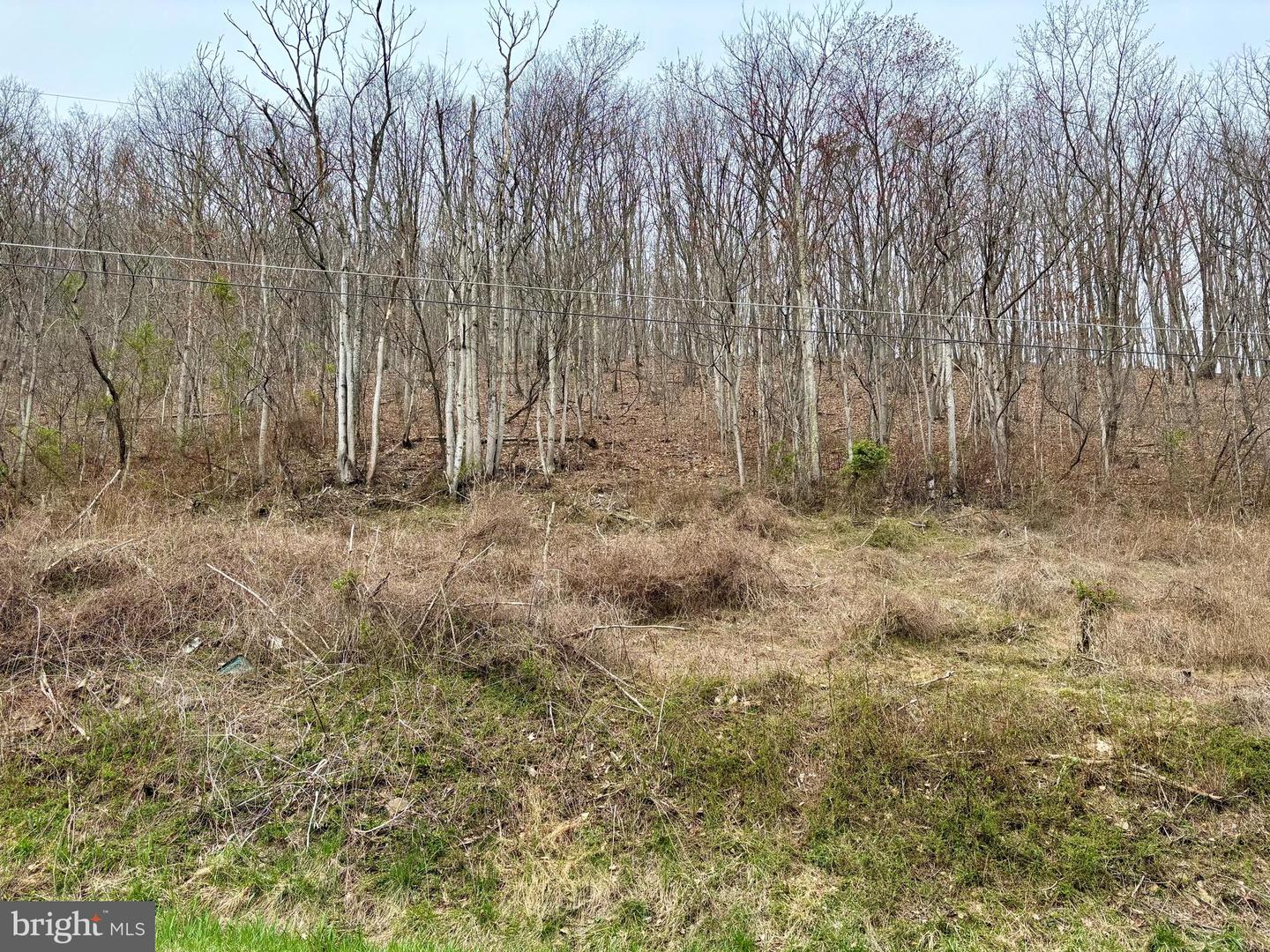 LOT 11B LUCAS HOLLOW RD, STANLEY, Virginia 22851, ,Land,For sale,LOT 11B LUCAS HOLLOW RD,VAPA2004684 MLS # VAPA2004684