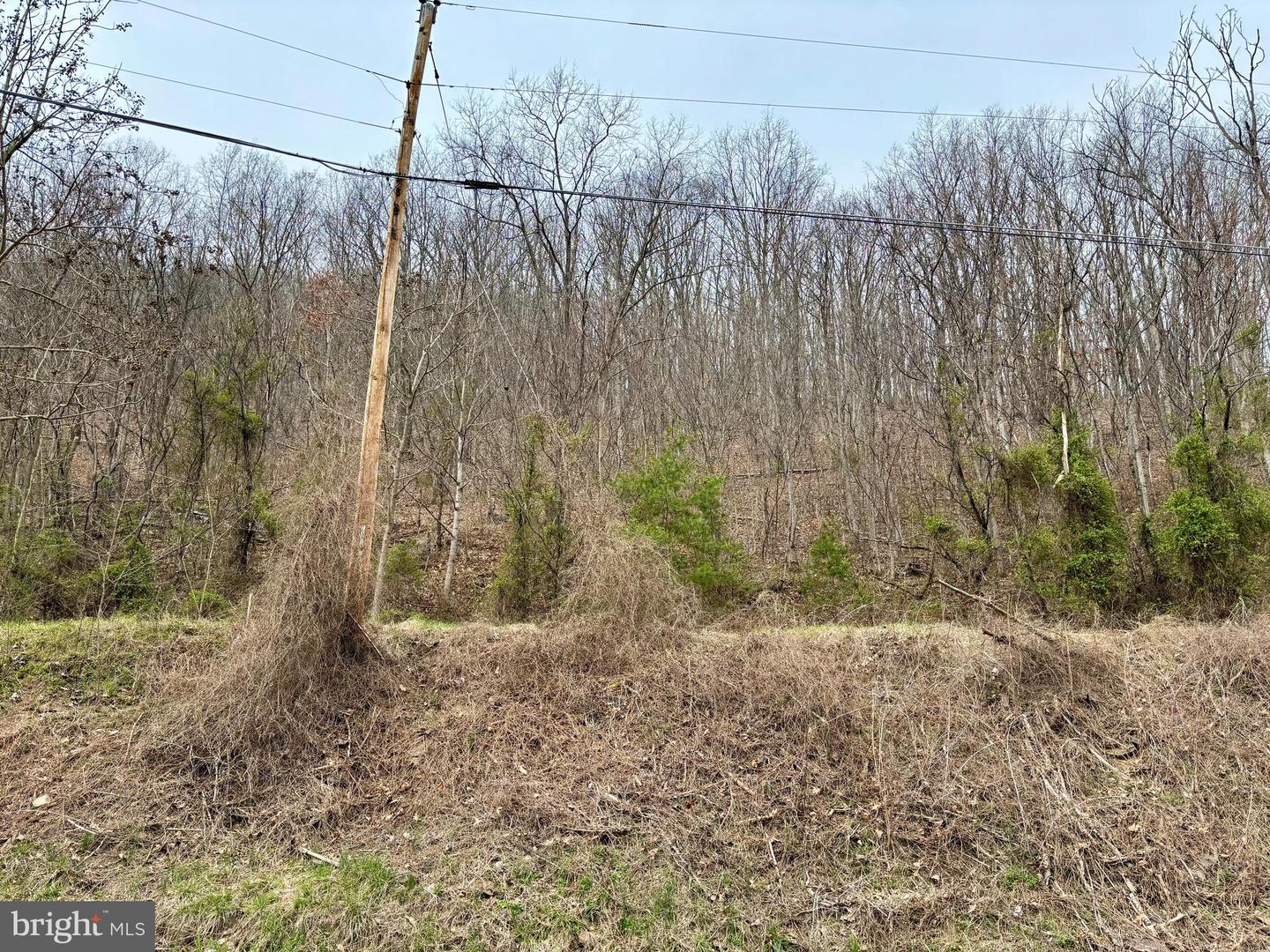 LOT 11B LUCAS HOLLOW RD, STANLEY, Virginia 22851, ,Land,For sale,LOT 11B LUCAS HOLLOW RD,VAPA2004684 MLS # VAPA2004684