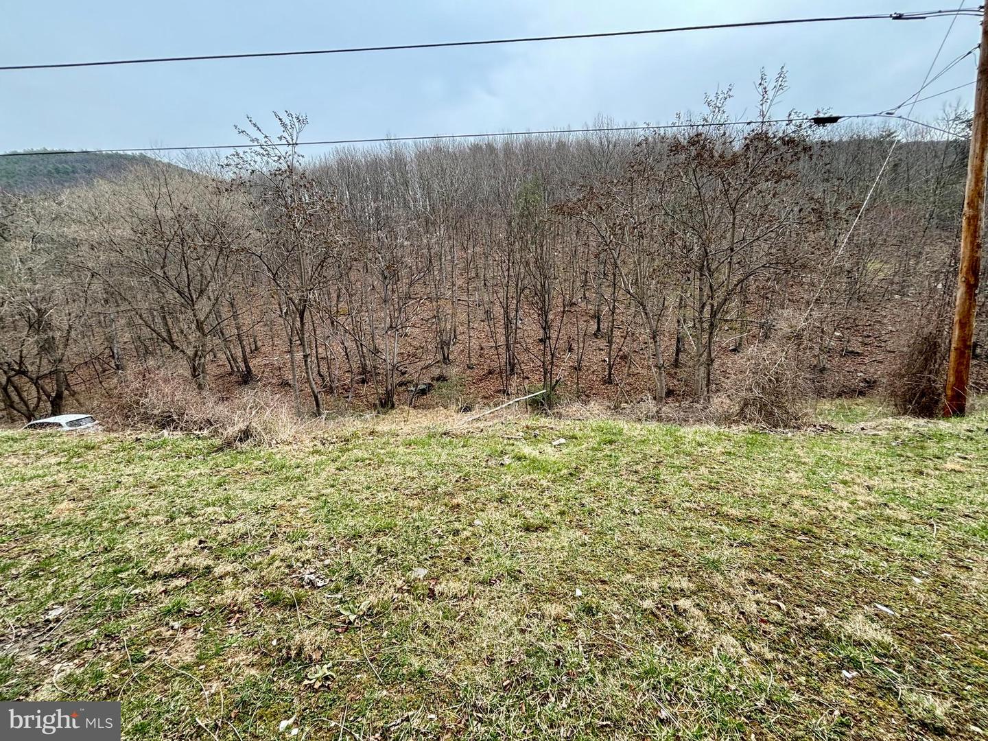 LOT 11B LUCAS HOLLOW RD, STANLEY, Virginia 22851, ,Land,For sale,LOT 11B LUCAS HOLLOW RD,VAPA2004684 MLS # VAPA2004684