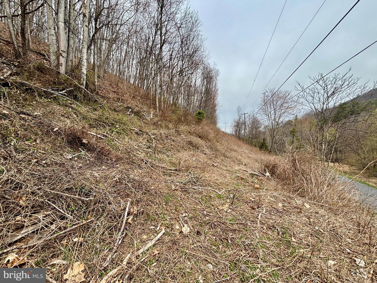 LOT 11B LUCAS HOLLOW RD, STANLEY, Virginia 22851, ,Land,For sale,LOT 11B LUCAS HOLLOW RD,VAPA2004684 MLS # VAPA2004684