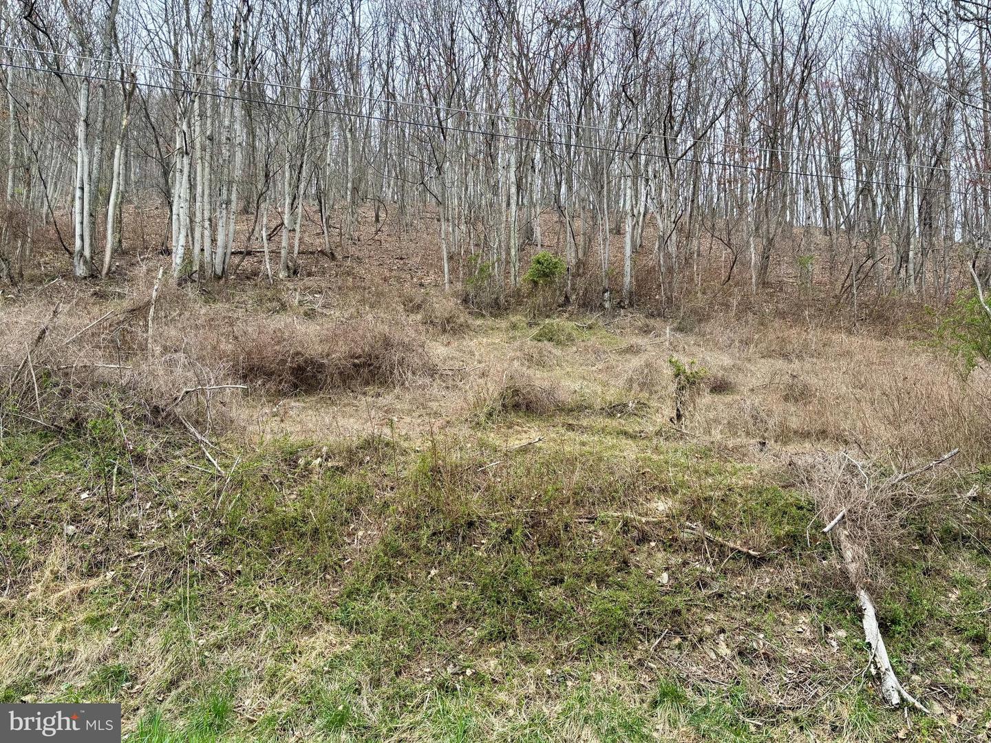 LOT 11B LUCAS HOLLOW RD, STANLEY, Virginia 22851, ,Land,For sale,LOT 11B LUCAS HOLLOW RD,VAPA2004684 MLS # VAPA2004684