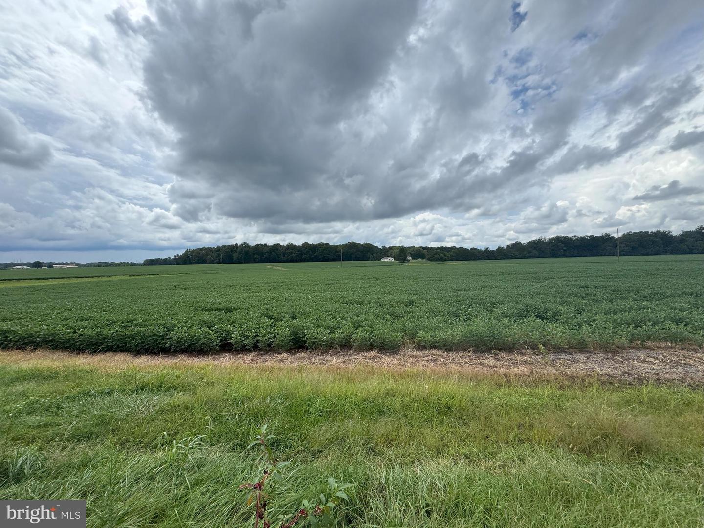 11378 TIMBUKTU LN, MIDLAND, Virginia 22728, ,Farm,For sale,11378 TIMBUKTU LN,VAFQ2017998 MLS # VAFQ2017998