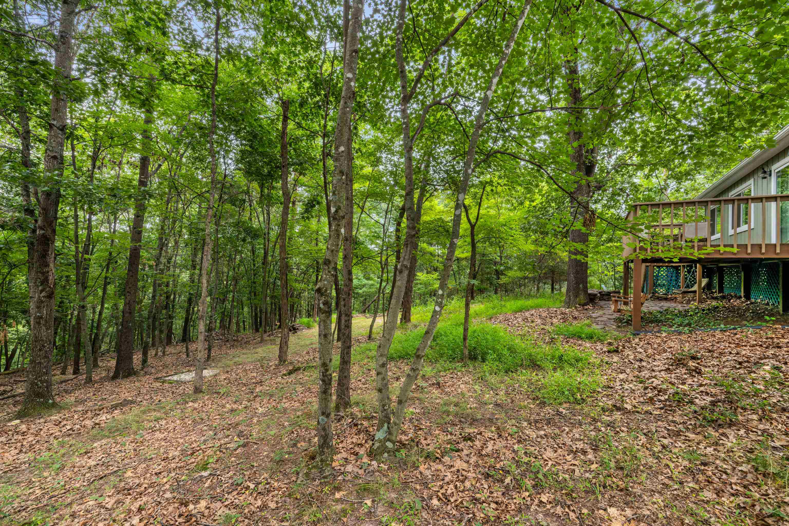112 JUDD LN, MOUNT JACKSON, Virginia 22842, 2 Bedrooms Bedrooms, ,2 BathroomsBathrooms,Residential,112 JUDD LN,668109 MLS # 668109