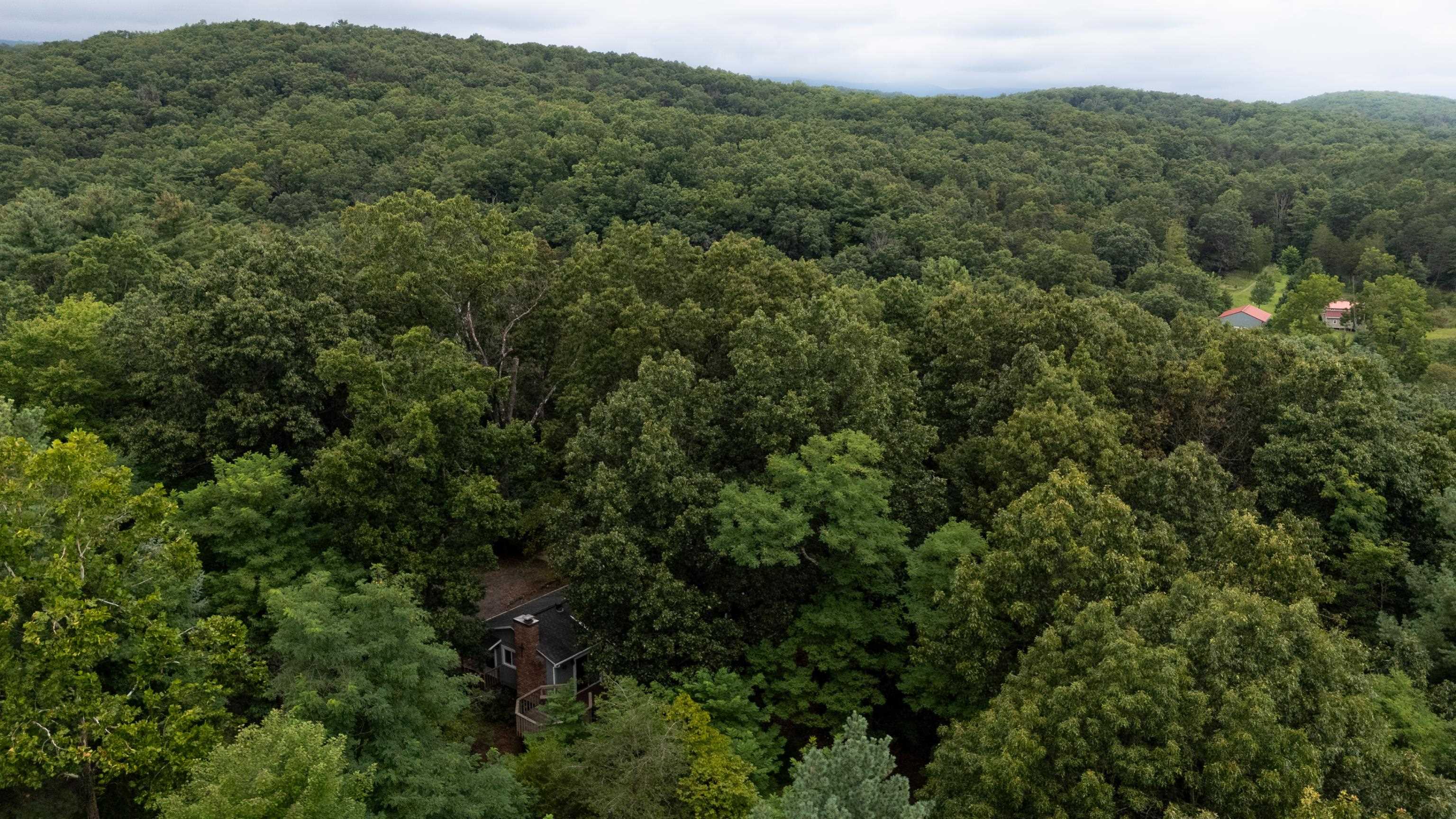 112 JUDD LN, MOUNT JACKSON, Virginia 22842, 2 Bedrooms Bedrooms, ,2 BathroomsBathrooms,Residential,112 JUDD LN,668109 MLS # 668109