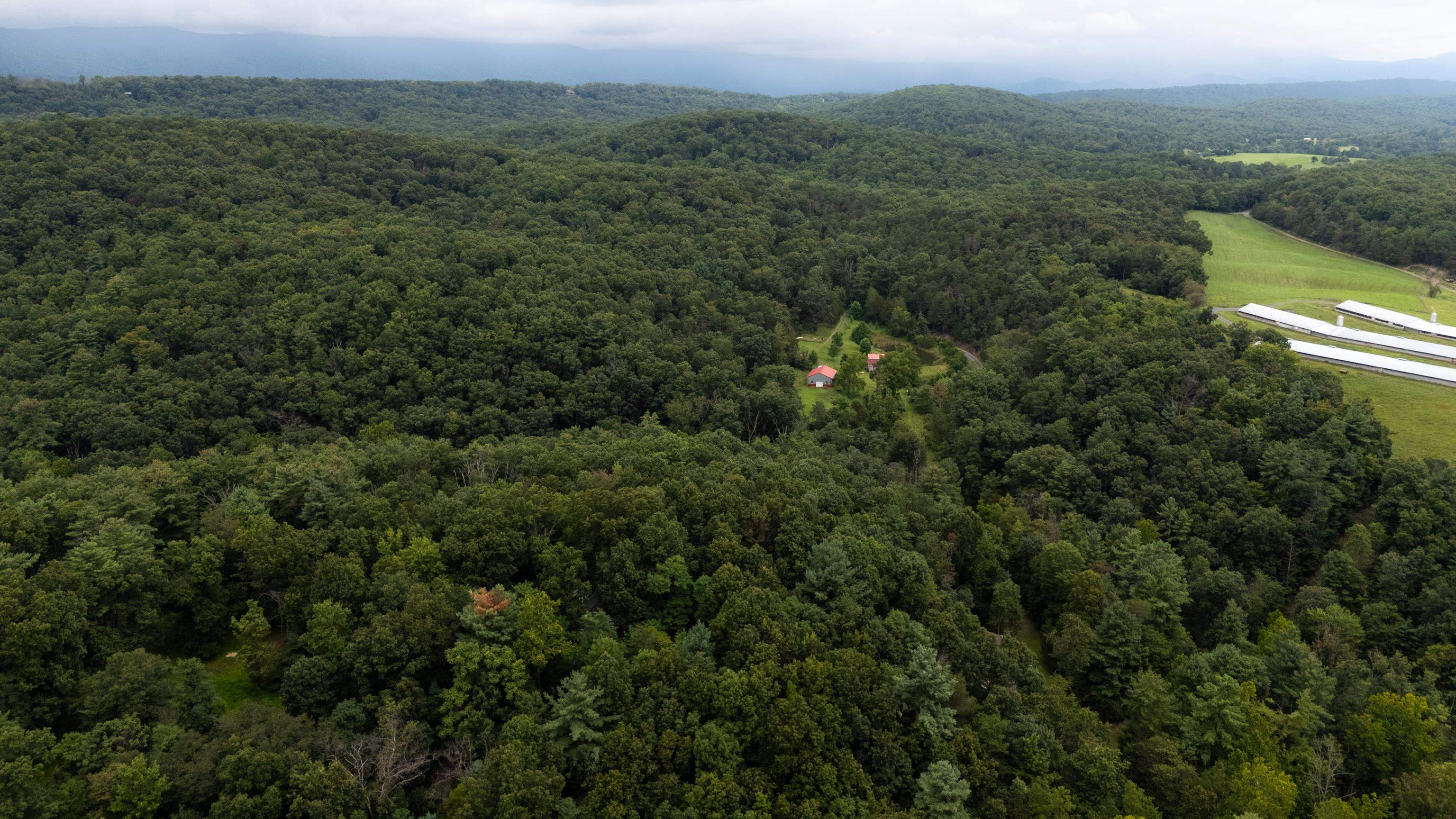 112 JUDD LN, MOUNT JACKSON, Virginia 22842, 2 Bedrooms Bedrooms, ,2 BathroomsBathrooms,Residential,112 JUDD LN,668109 MLS # 668109