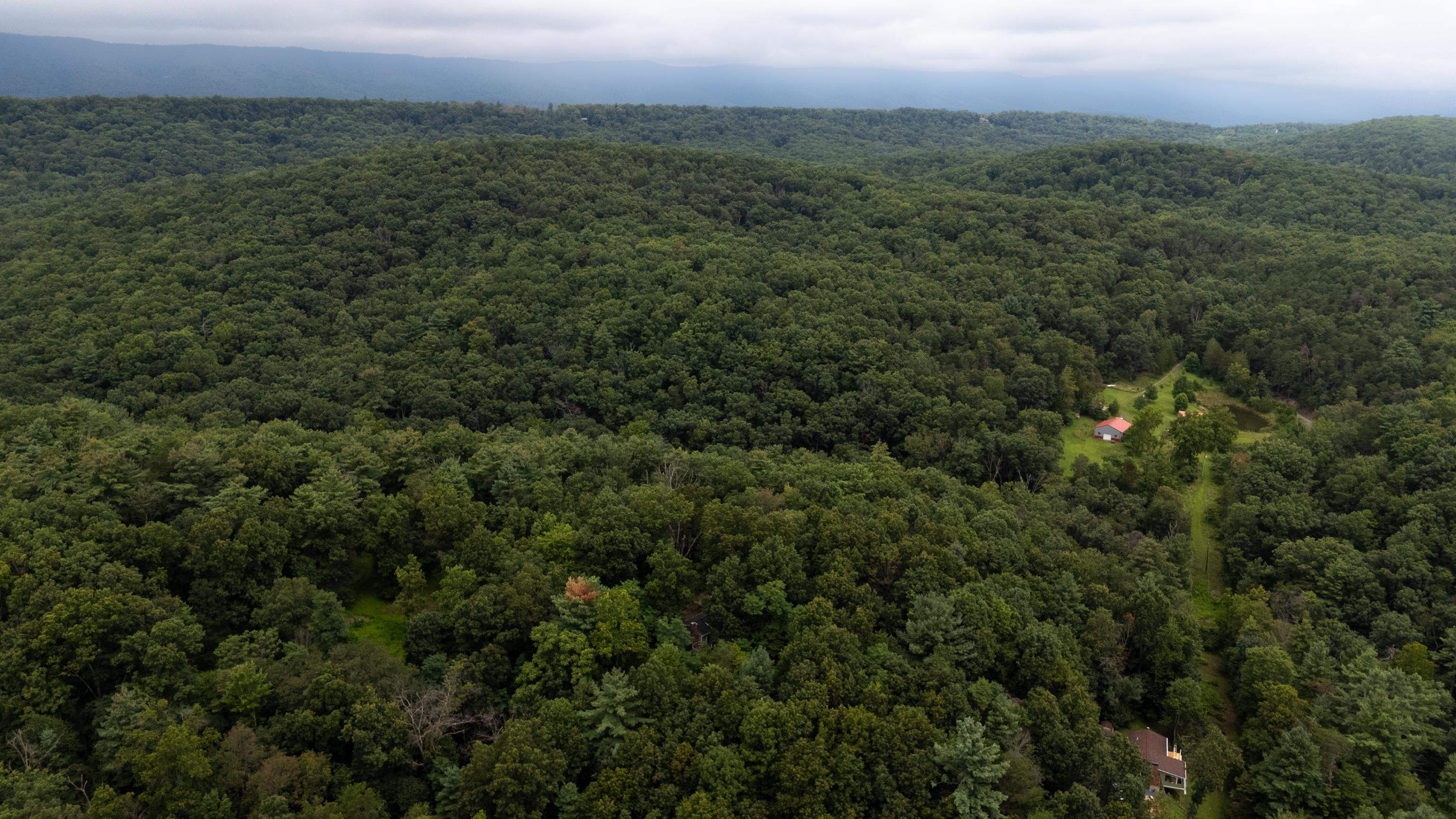 112 JUDD LN, MOUNT JACKSON, Virginia 22842, 2 Bedrooms Bedrooms, ,2 BathroomsBathrooms,Residential,112 JUDD LN,668109 MLS # 668109