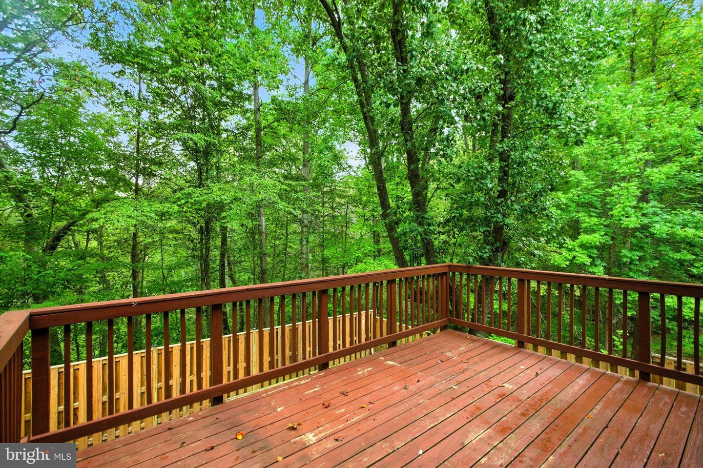 8025 ORANGE PLANK RD, SPRINGFIELD, Virginia 22153, 3 Bedrooms Bedrooms, ,3 BathroomsBathrooms,Residential,For sale,8025 ORANGE PLANK RD,VAFX2261426 MLS # VAFX2261426
