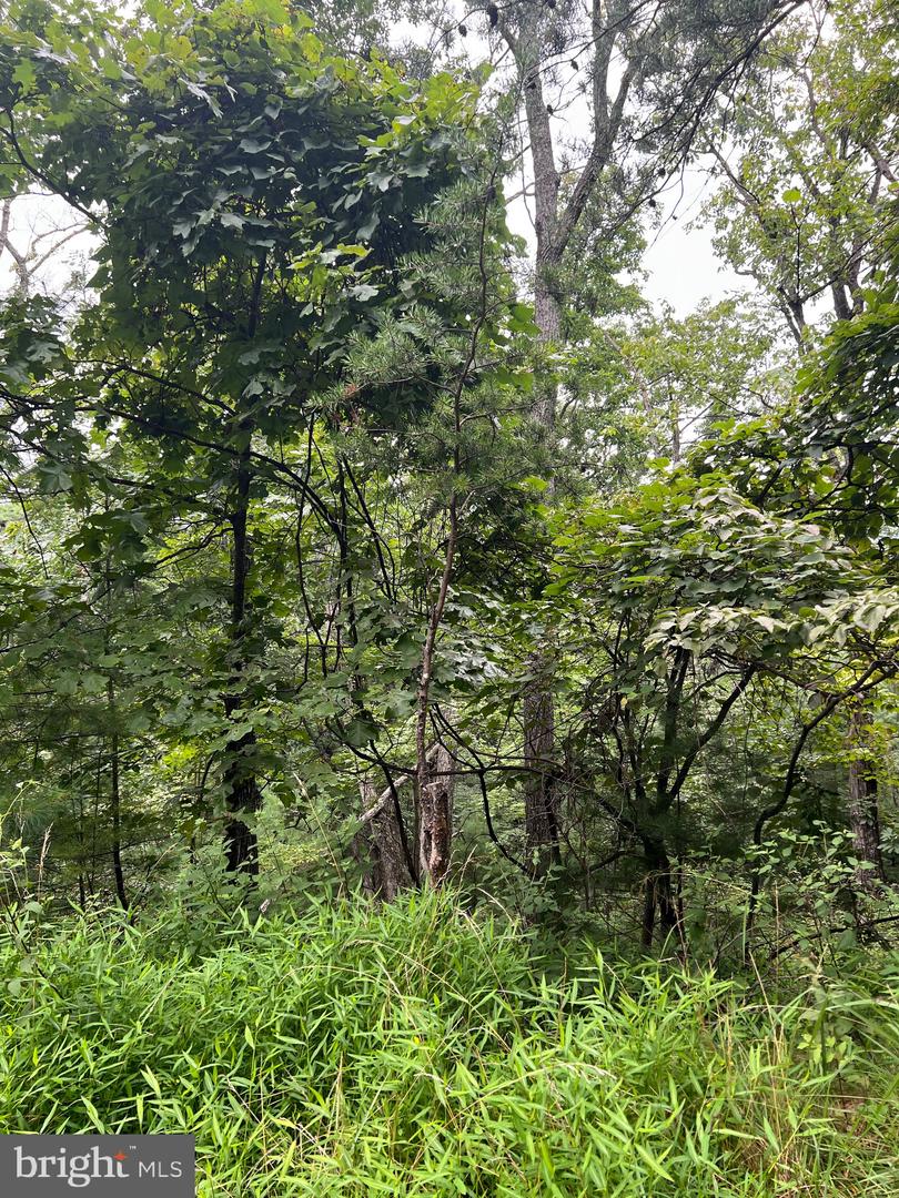 LOT 16 SUNSET RIDGE, BROADWAY, Virginia 22815, ,Land,For sale,-LOT 16 SUNSET RIDGE,VASH2012290 MLS # VASH2012290