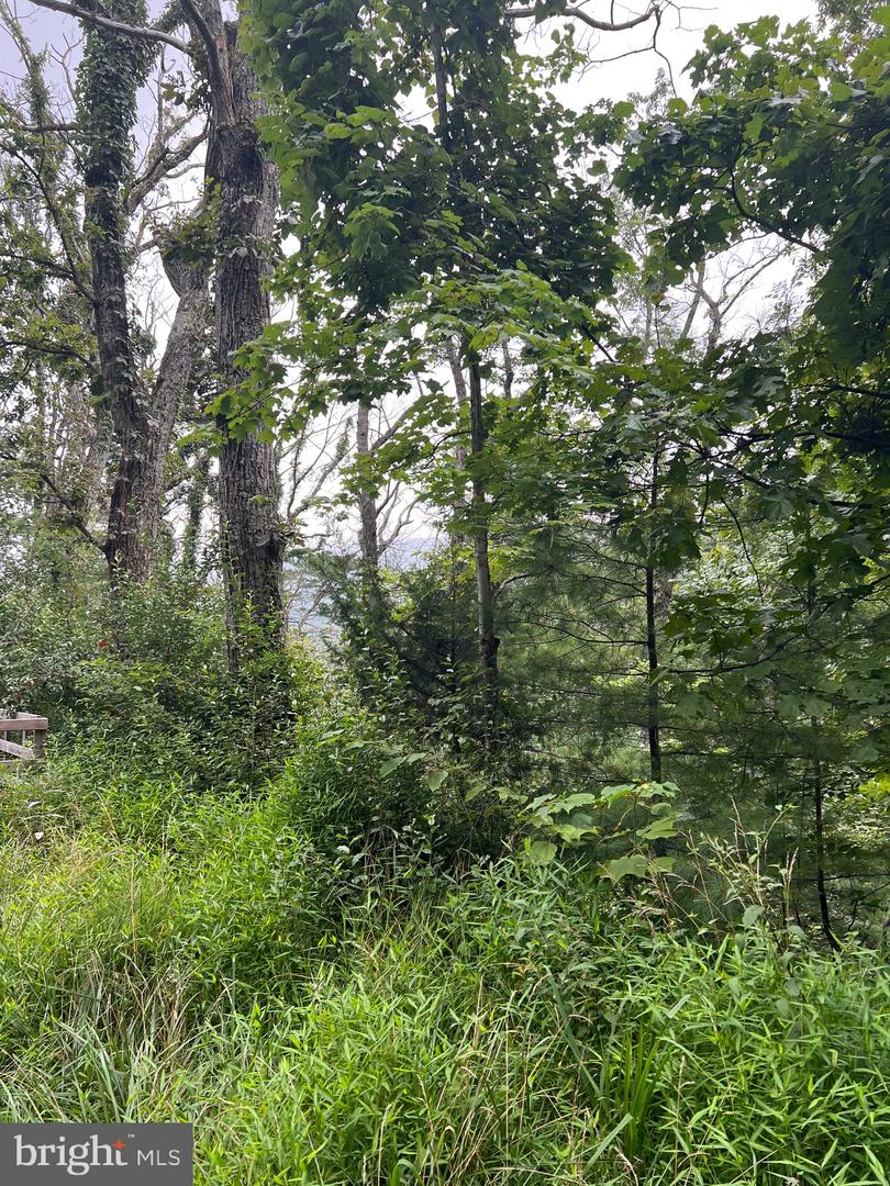 LOT 16 SUNSET RIDGE, BROADWAY, Virginia 22815, ,Land,For sale,-LOT 16 SUNSET RIDGE,VASH2012290 MLS # VASH2012290