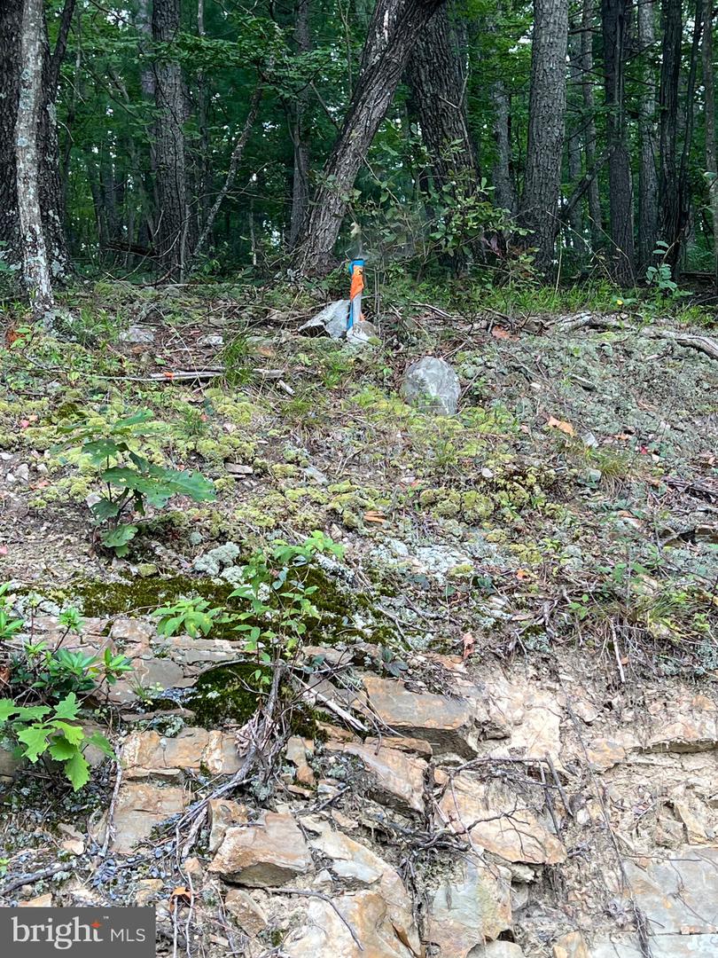 LOT 16 SUNSET RIDGE, BROADWAY, Virginia 22815, ,Land,For sale,-LOT 16 SUNSET RIDGE,VASH2012290 MLS # VASH2012290