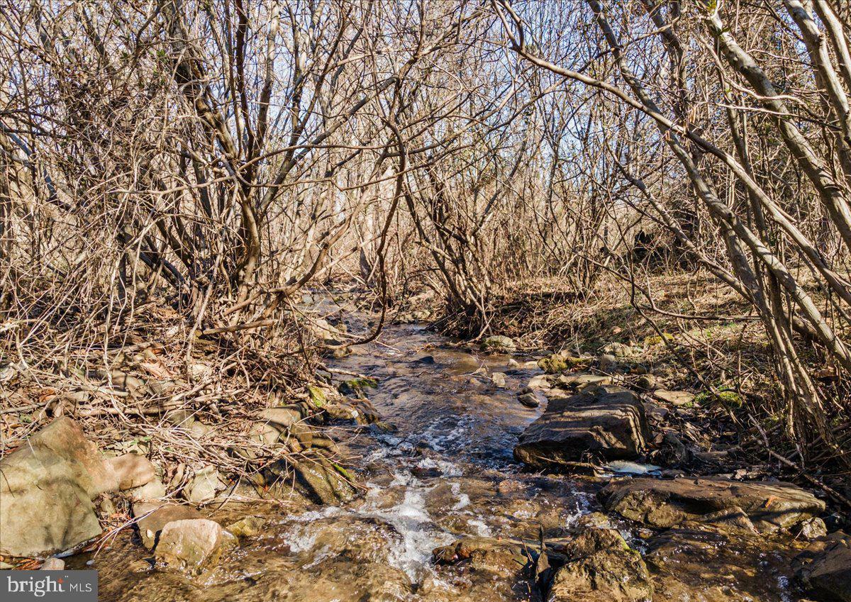 WAPPING FARM #LOT 6 RD, FRONT ROYAL, Virginia 22630, ,Land,For sale,WAPPING FARM #LOT 6 RD,VAWR2012042 MLS # VAWR2012042