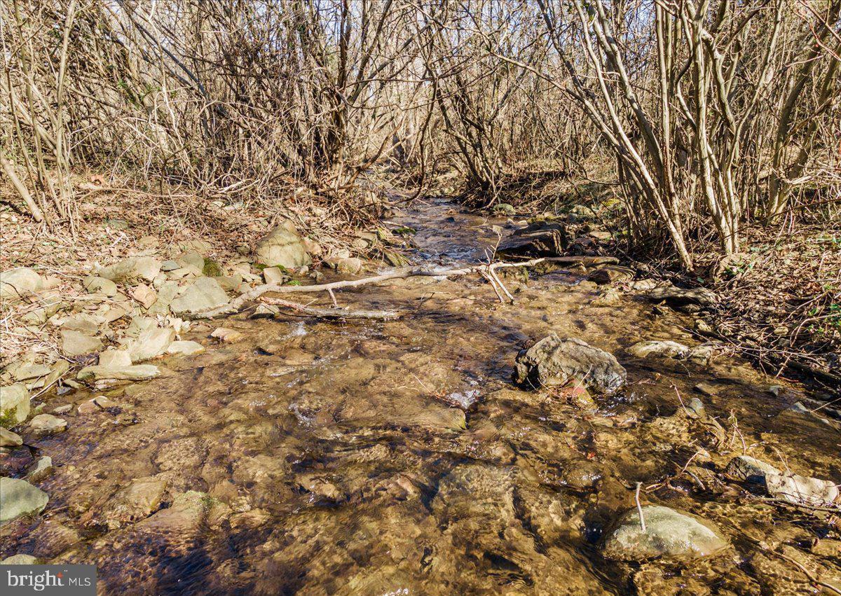 WAPPING FARM #LOT 6 RD, FRONT ROYAL, Virginia 22630, ,Land,For sale,WAPPING FARM #LOT 6 RD,VAWR2012042 MLS # VAWR2012042