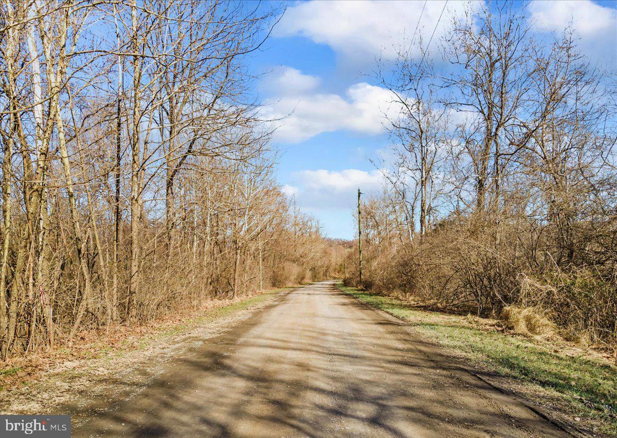 WAPPING FARM #LOT 6 RD, FRONT ROYAL, Virginia 22630, ,Land,For sale,WAPPING FARM #LOT 6 RD,VAWR2012042 MLS # VAWR2012042